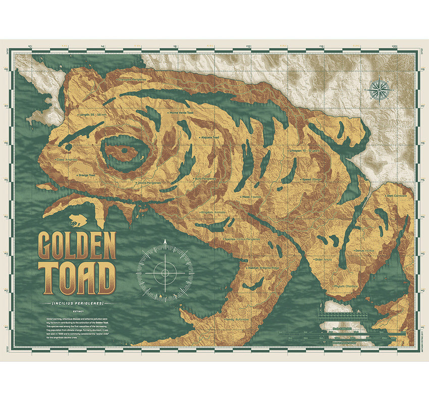 Anthony Petrie - Golden Toad Map 18x24 movie poster - detail image 7