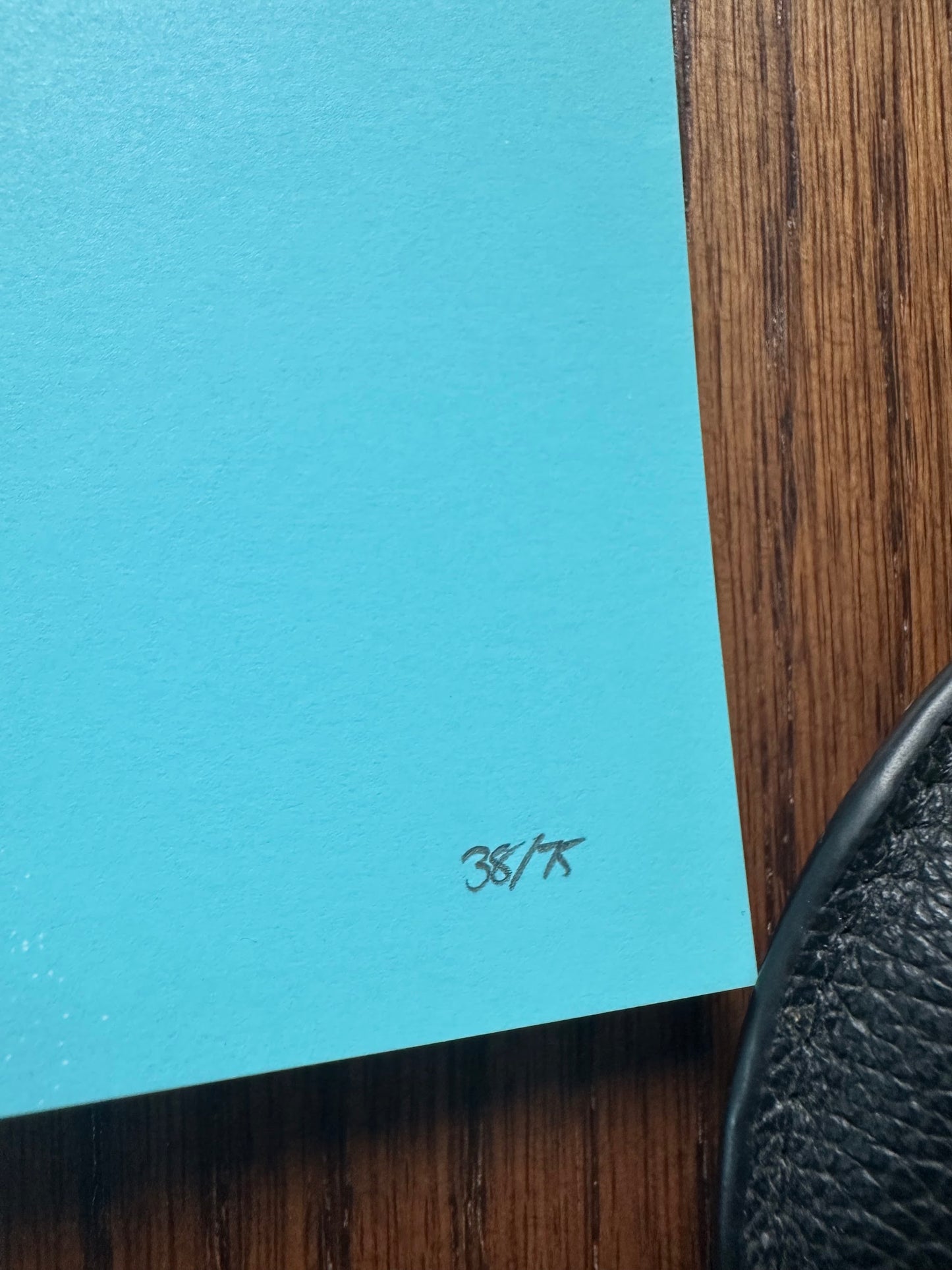 Lyndon Willoughby - Portal 18x24 movie poster - detail image 5