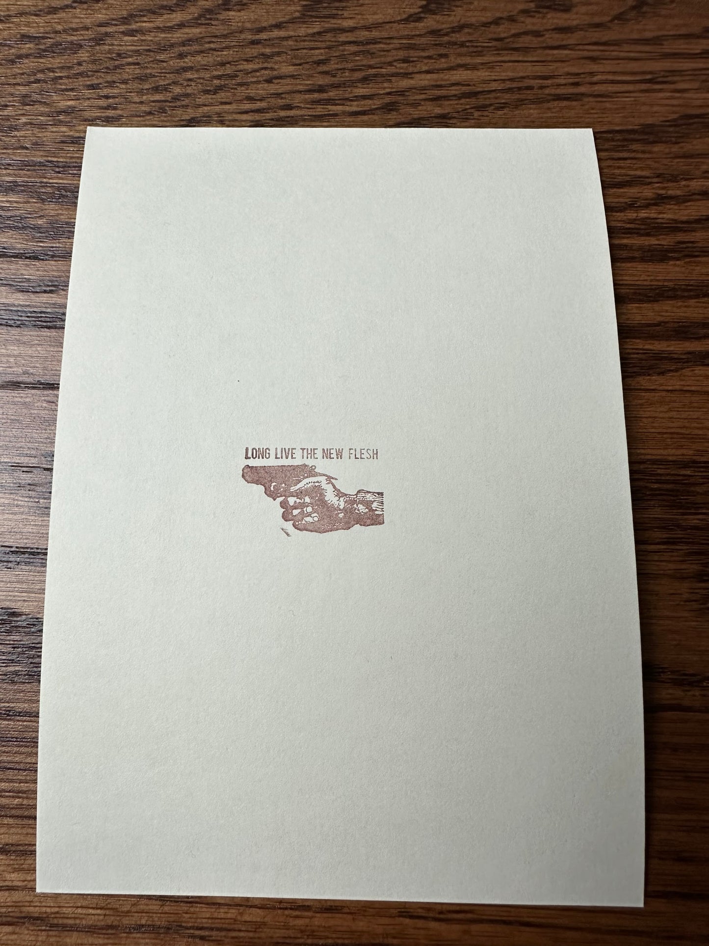 New Flesh - Terminator 2 John Connor Handbill 5x7 art print - detail image 3