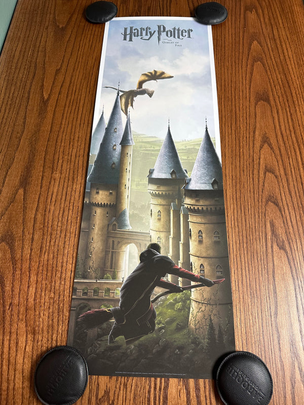 Ben Harman - Harry Potter and the Goblet of Fire - 12x36 - Limited Edition Poster