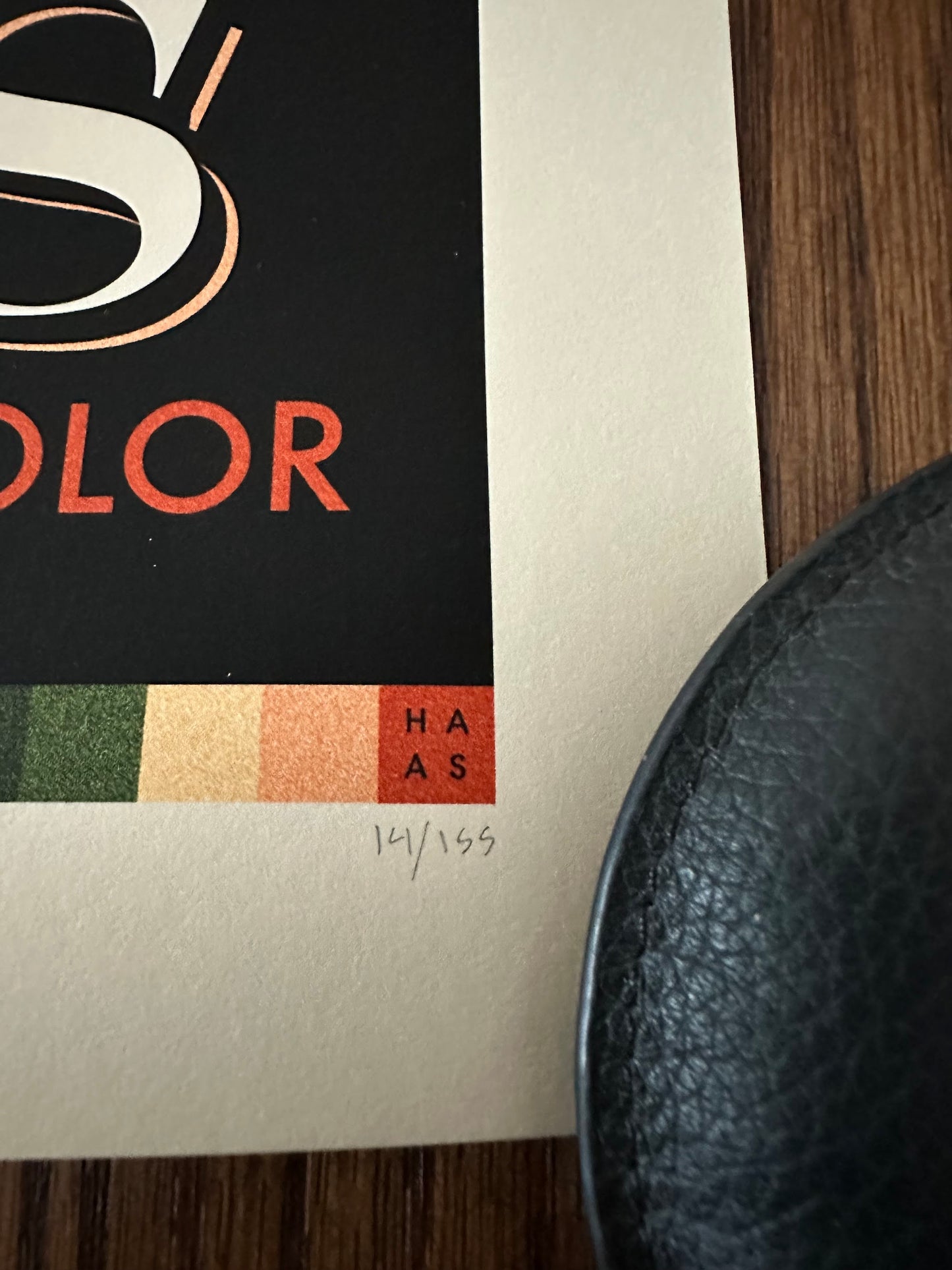 Danny Haas - The Birds 18x24 movie poster - detail image 6