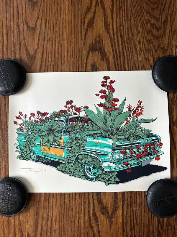 Tim Doyle - Kudzu Camino - 12x16 - Limited Edition Print