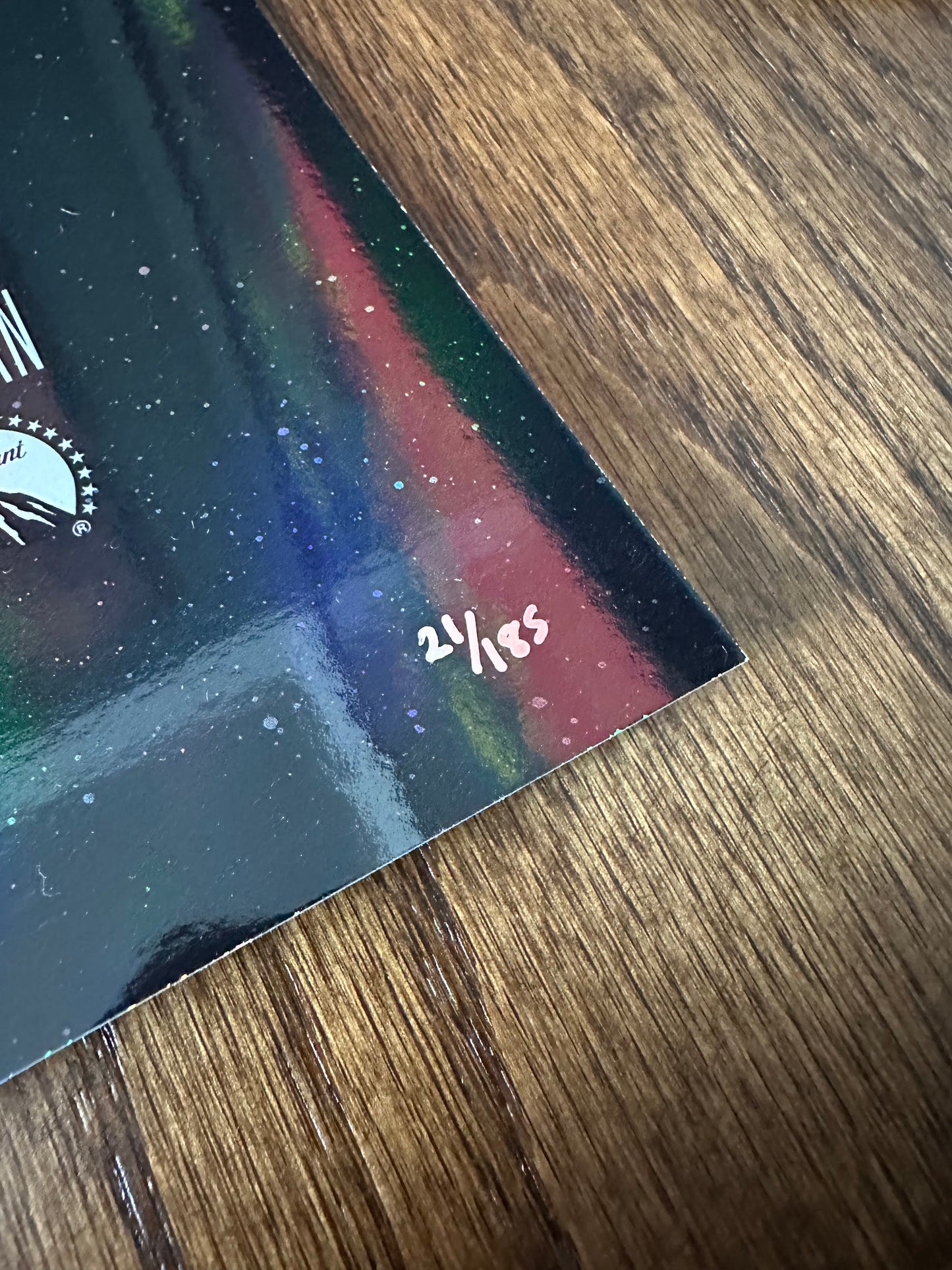 Paul Mann - Star Trek First Contact Foil Variant 24x36 movie poster - detail image 7