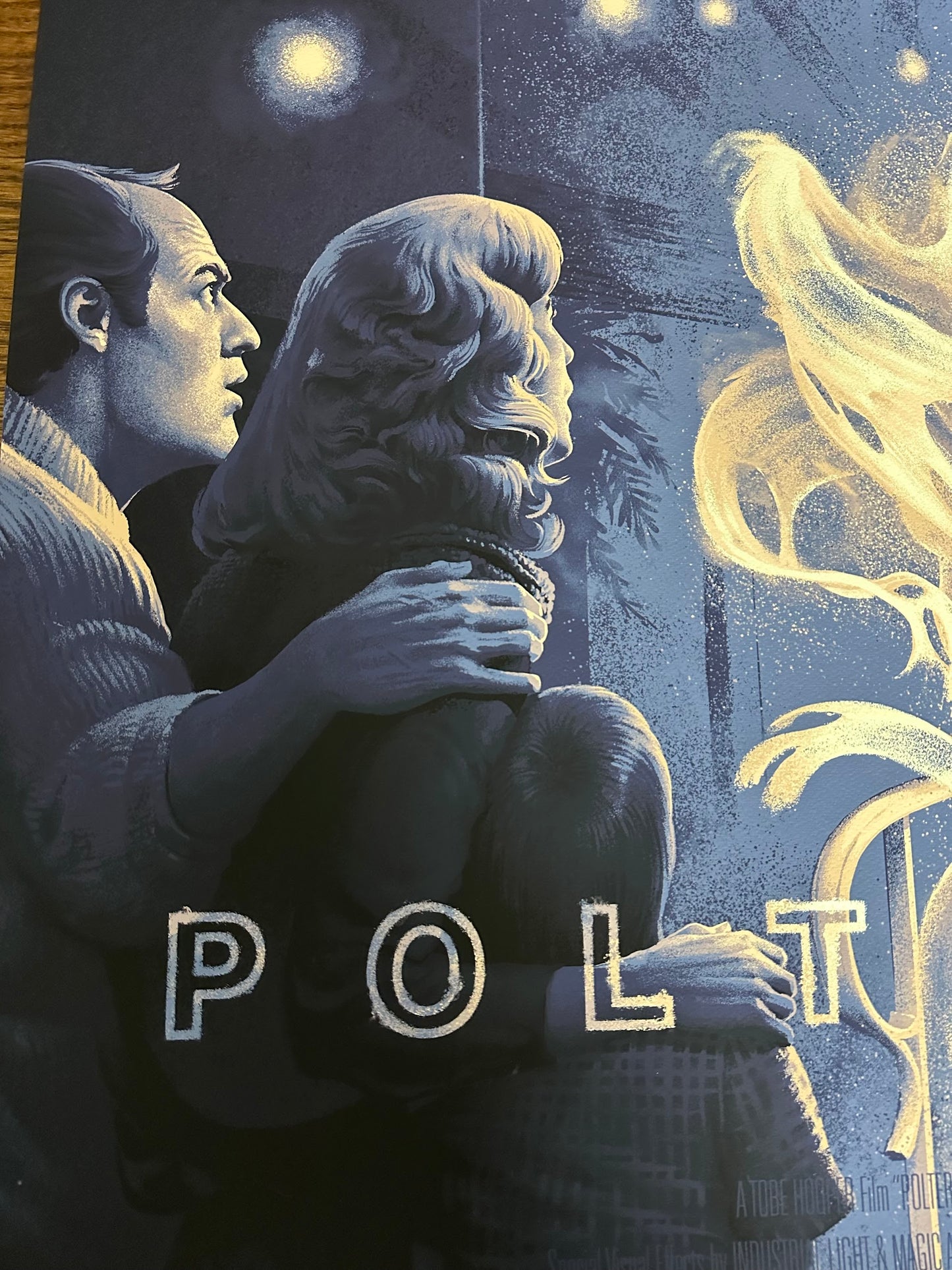 David Lantz - Poltergeist 36x24 movie poster - detail image 2