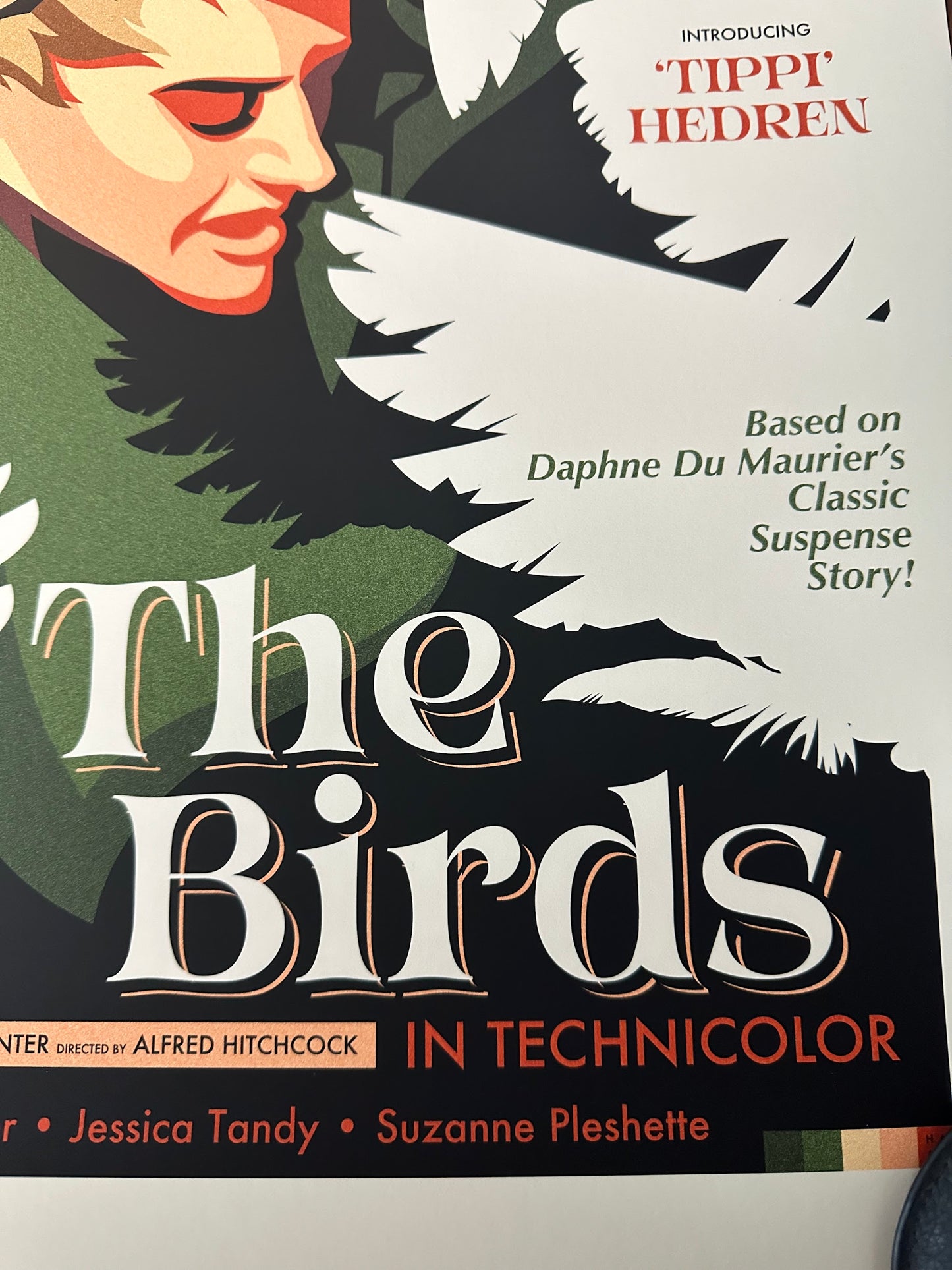 Danny Haas - The Birds 18x24 movie poster - detail image 2