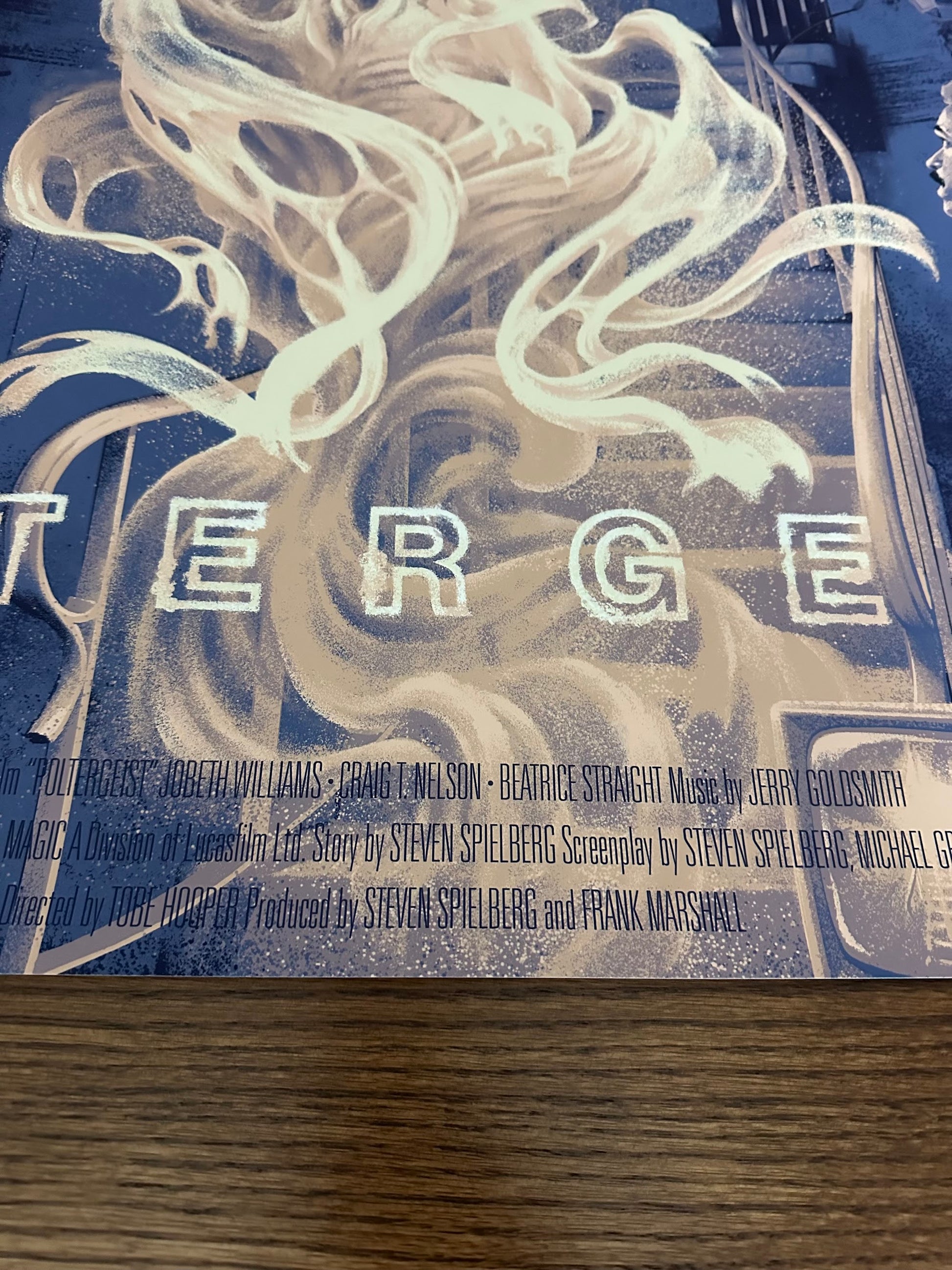 David Lantz - Poltergeist 36x24 movie poster - detail image 5