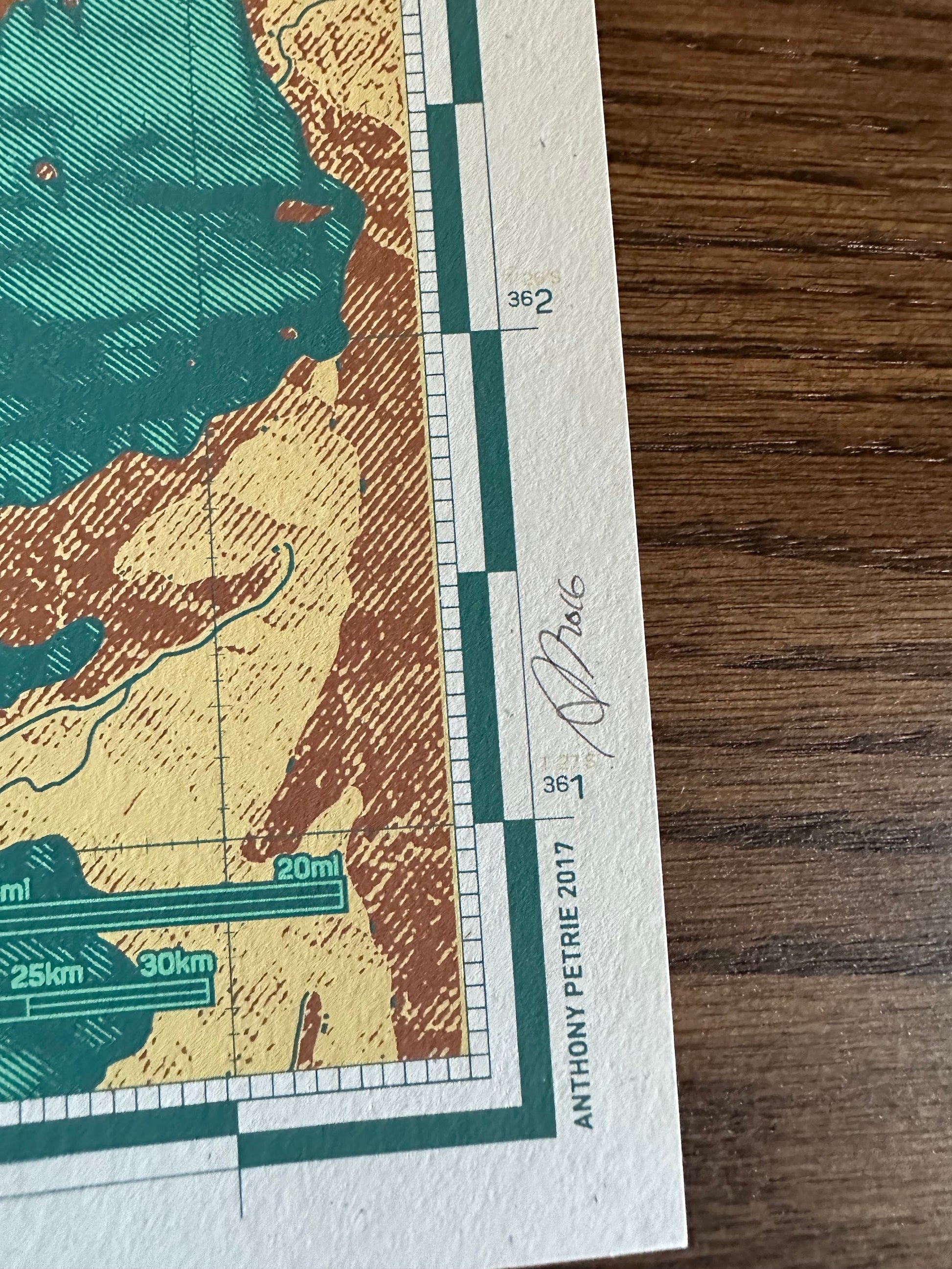 Anthony Petrie - Golden Toad Map 18x24 movie poster - detail image 6