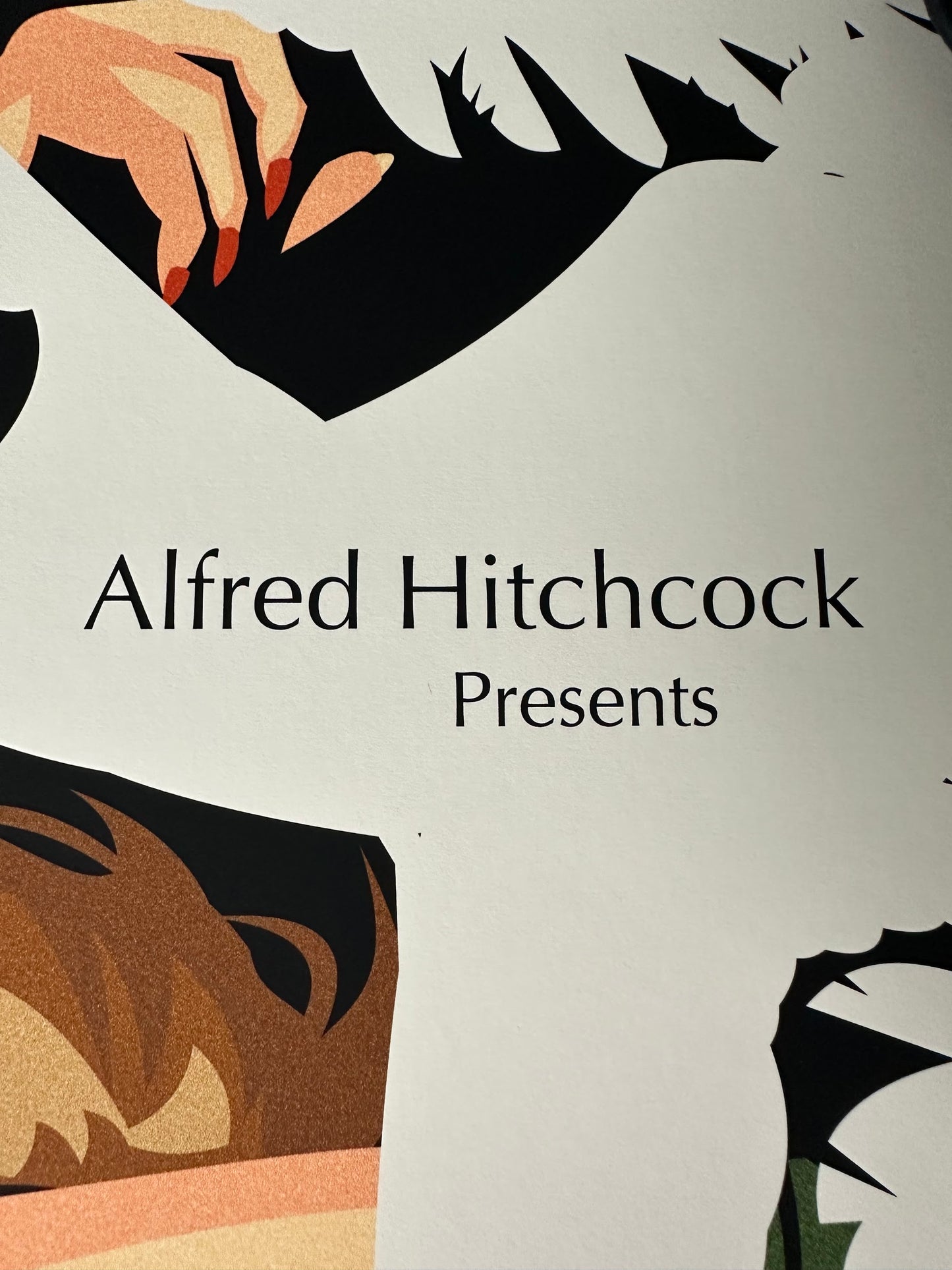 Danny Haas - The Birds 18x24 movie poster - detail image 4