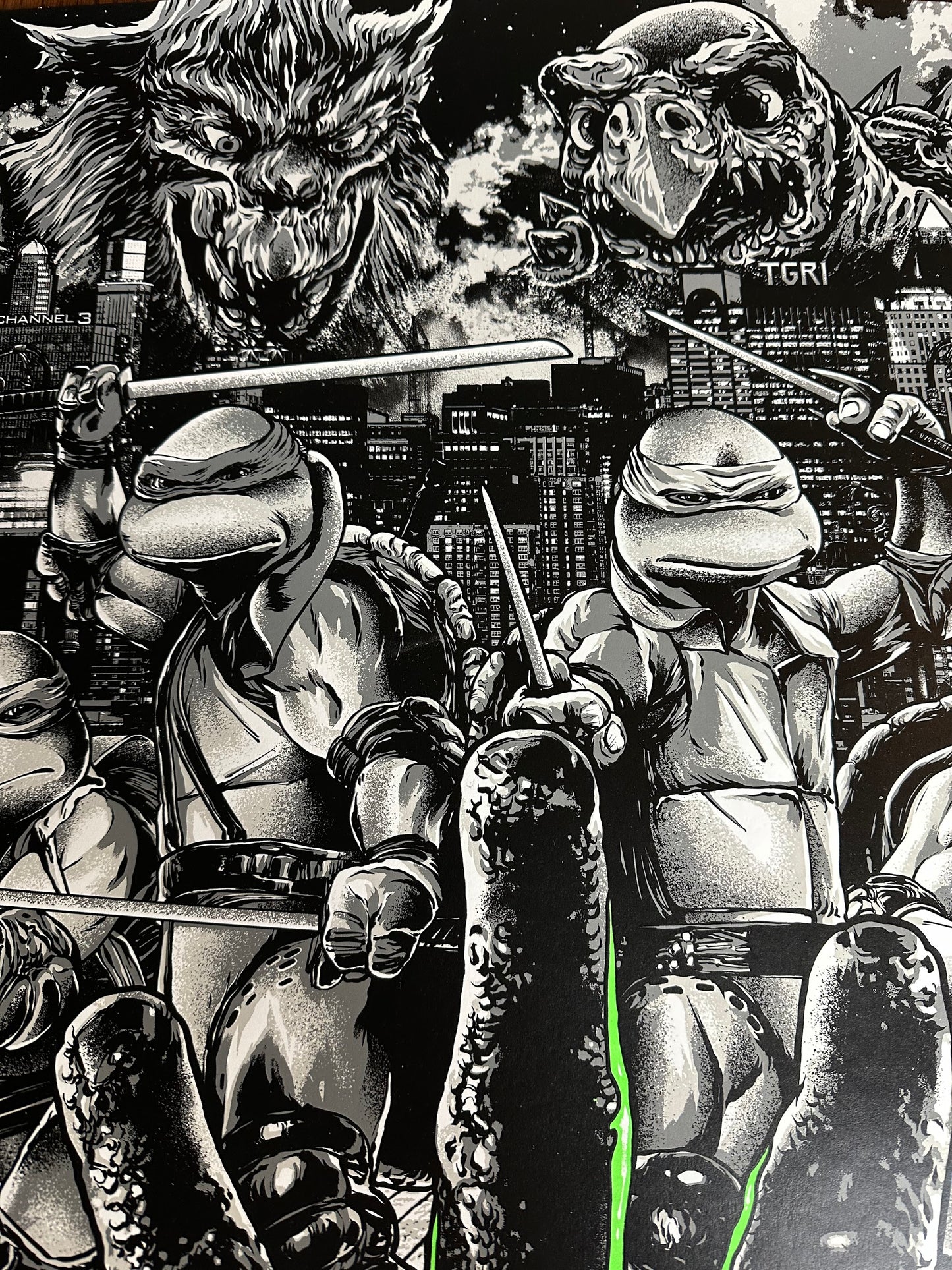 Anthony Petrie - Teenage Mutant Ninja Turtles 2 Variant 24x36 movie poster - detail image 2