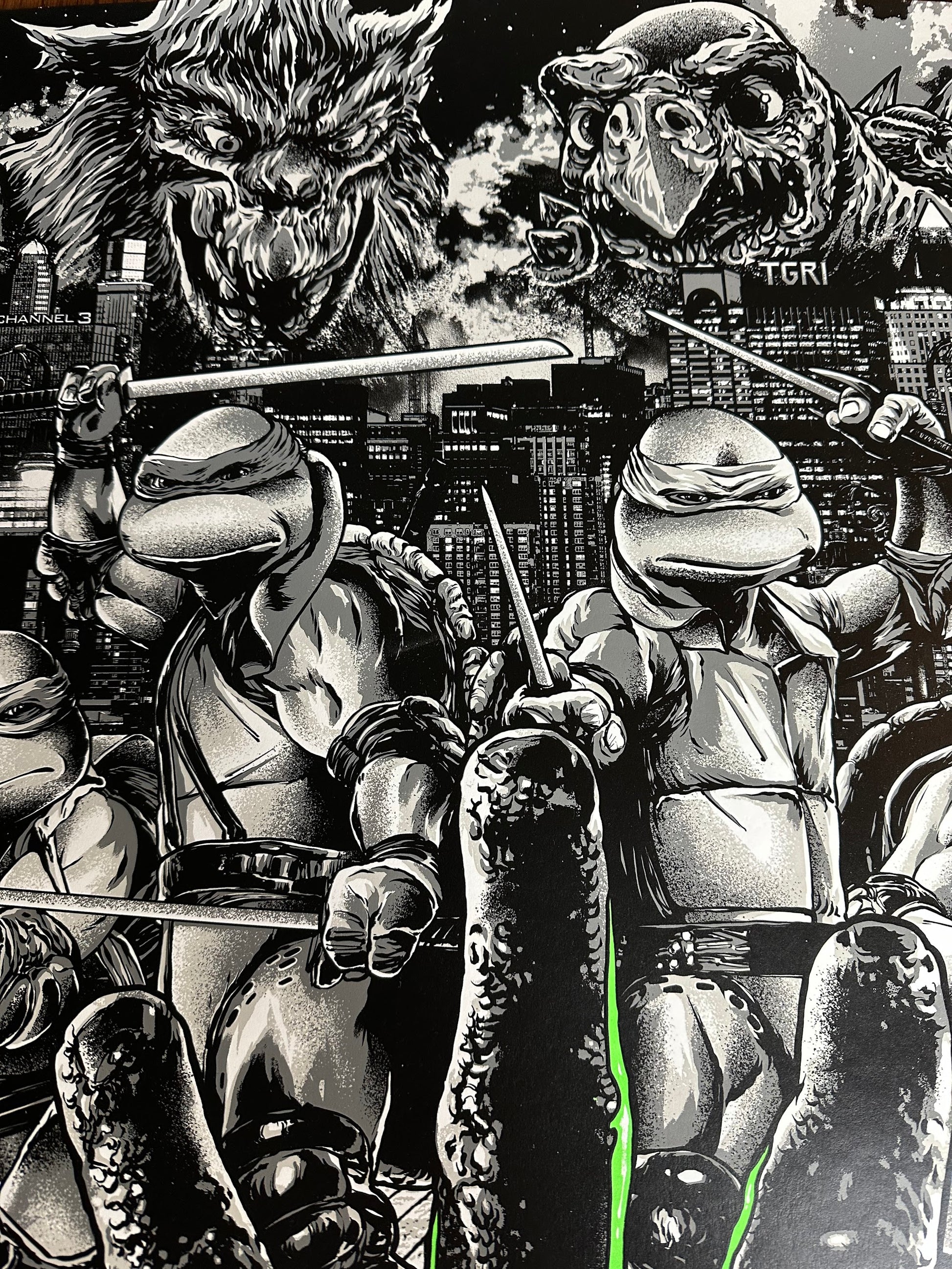 Anthony Petrie - Teenage Mutant Ninja Turtles 2 Variant 24x36 movie poster - detail image 2