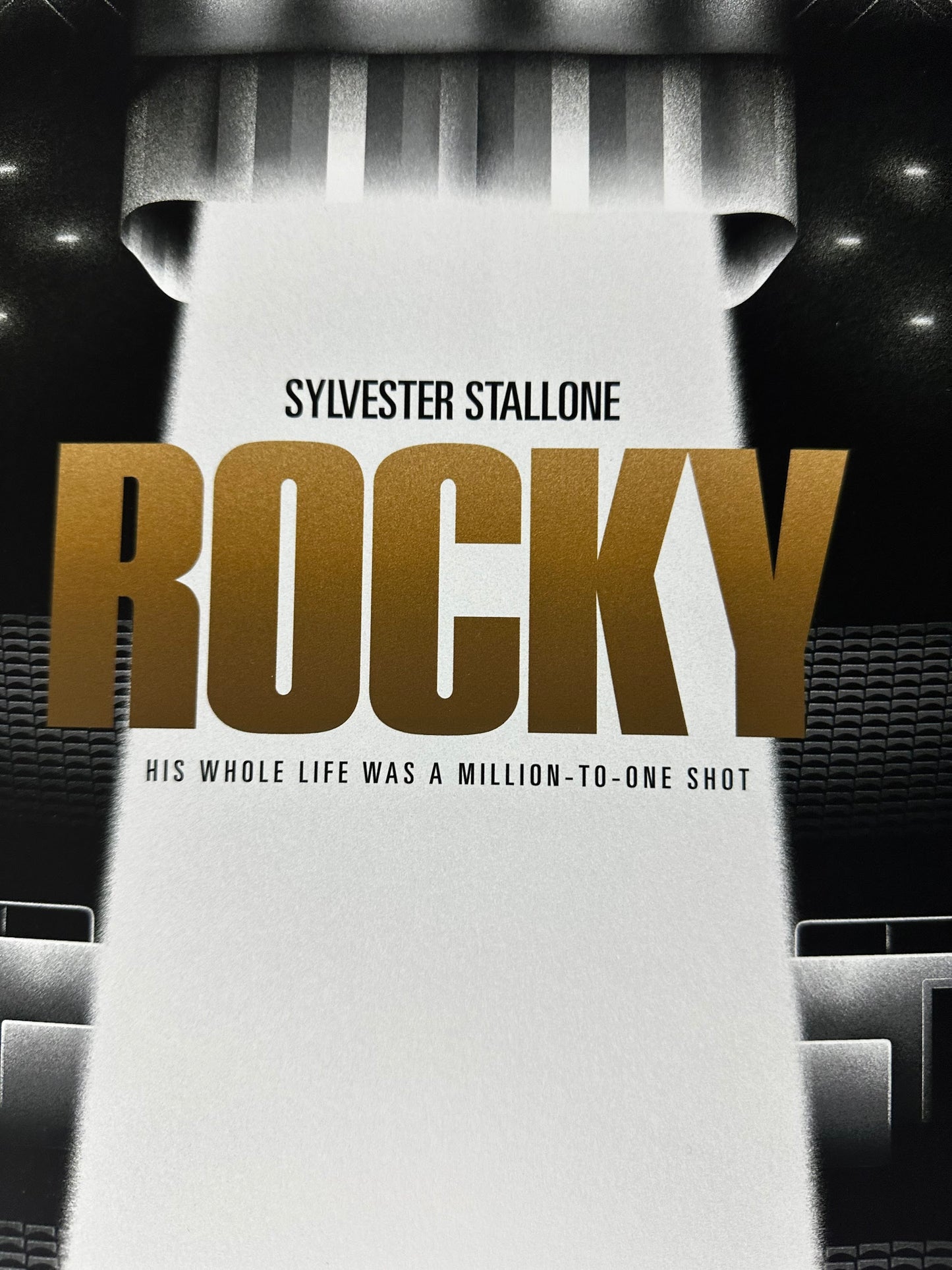Salvador Anguiano - Rocky 12x24 movie poster - detail image 2