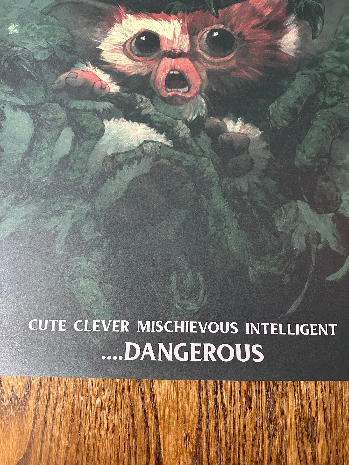 Hans Woody - Gremlins 24x36 movie poster - detail image 4