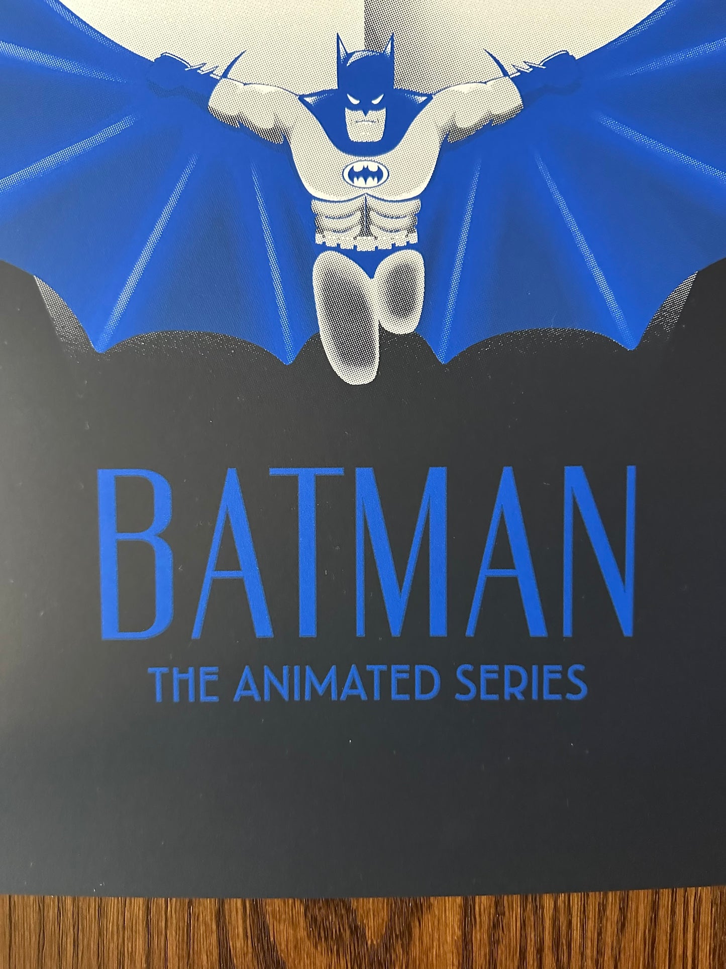 Jeany Ngo - Batman Animated Series 18x24 movie poster - detail image 4