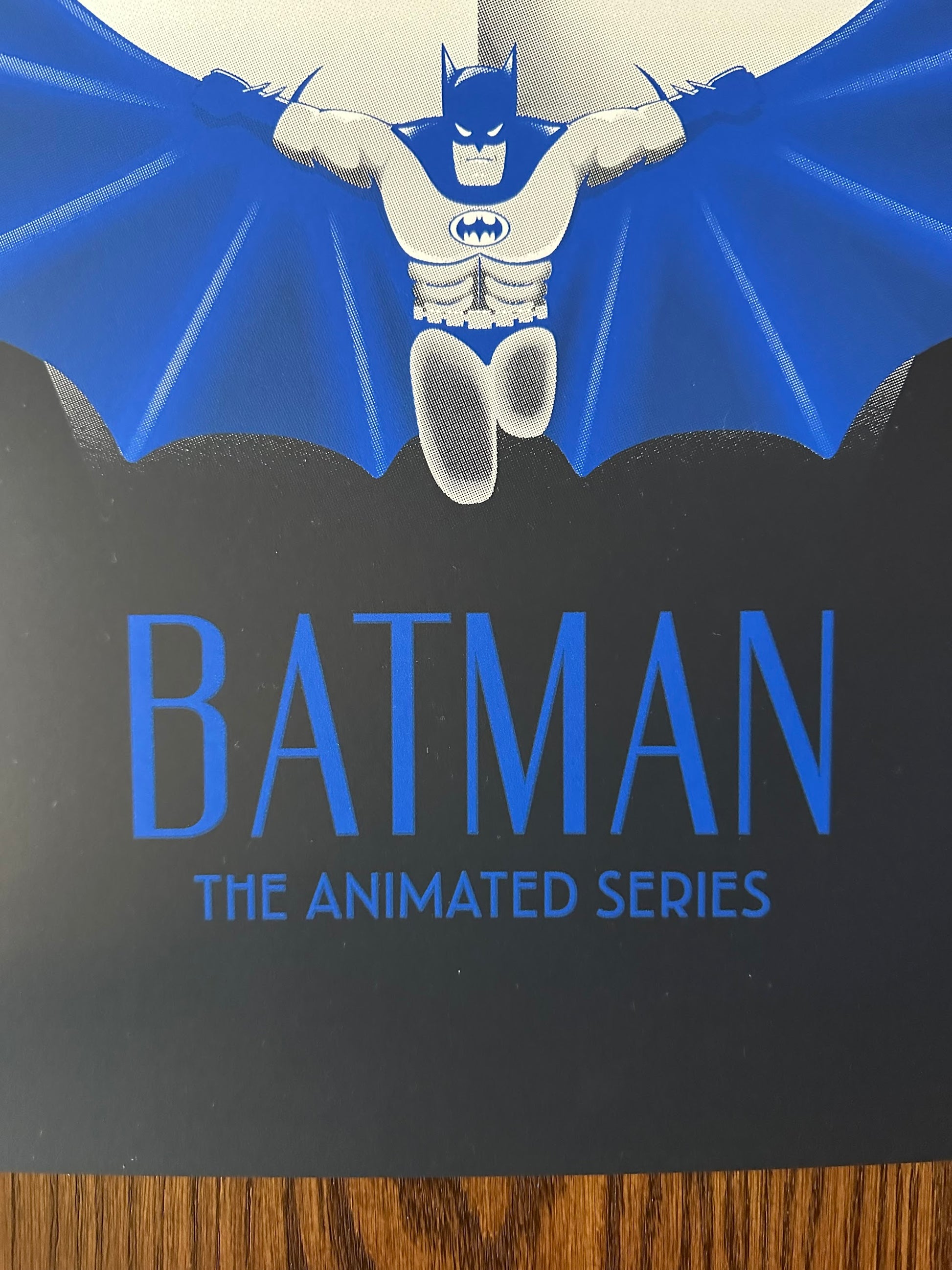 Jeany Ngo - Batman Animated Series 18x24 movie poster - detail image 4