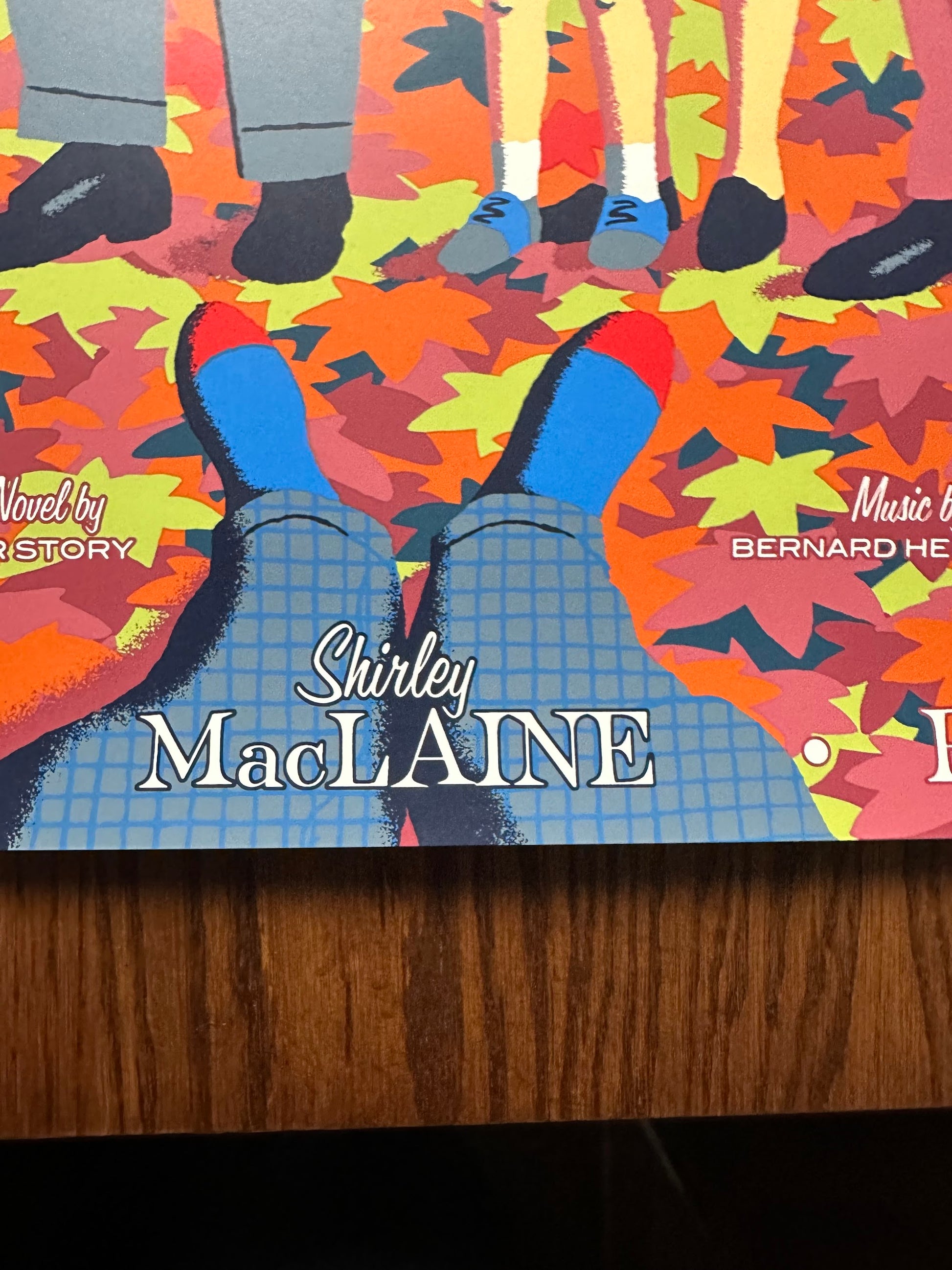 David Merveille - The Trouble with Harry Variant 24x36 movie poster - detail image 7