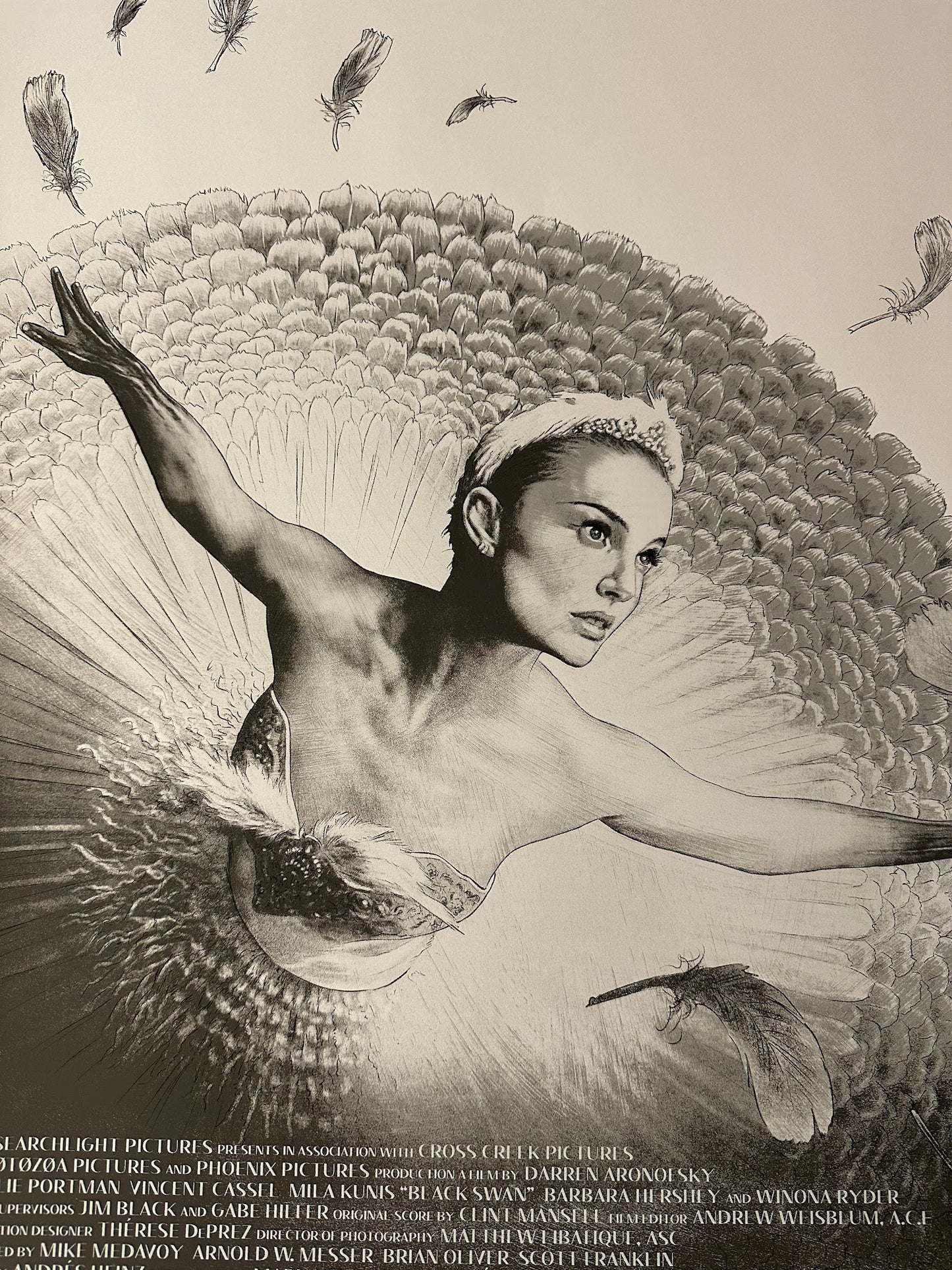 Neil Davies - Black Swan - 24x36 - Limited Edition Poster