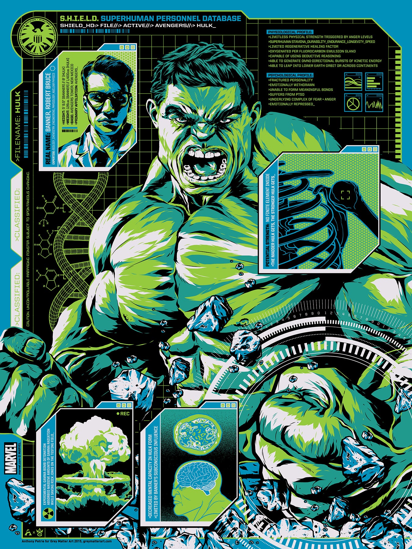 Anthony Petrie - Shield Files Hulk 18x24 movie poster - detail image 8