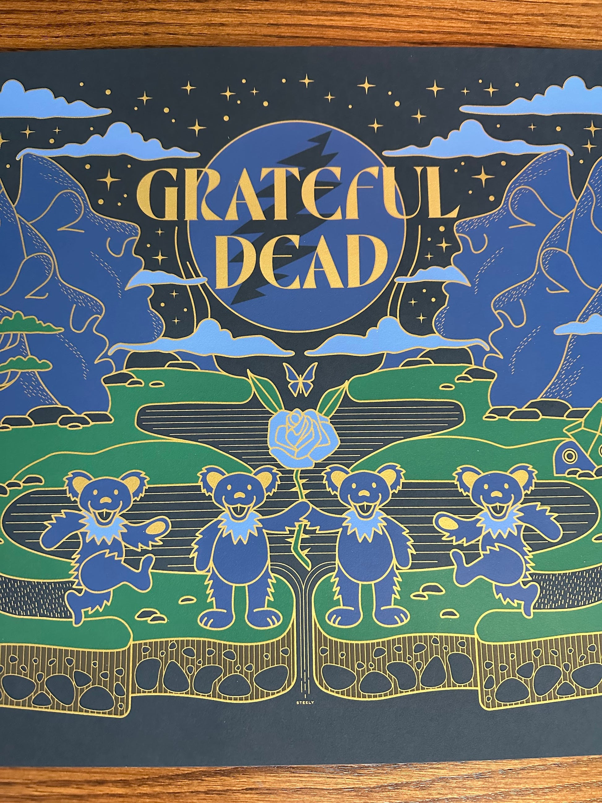 Brian Steely - Grateful Dead 24x18 movie poster - detail image 3