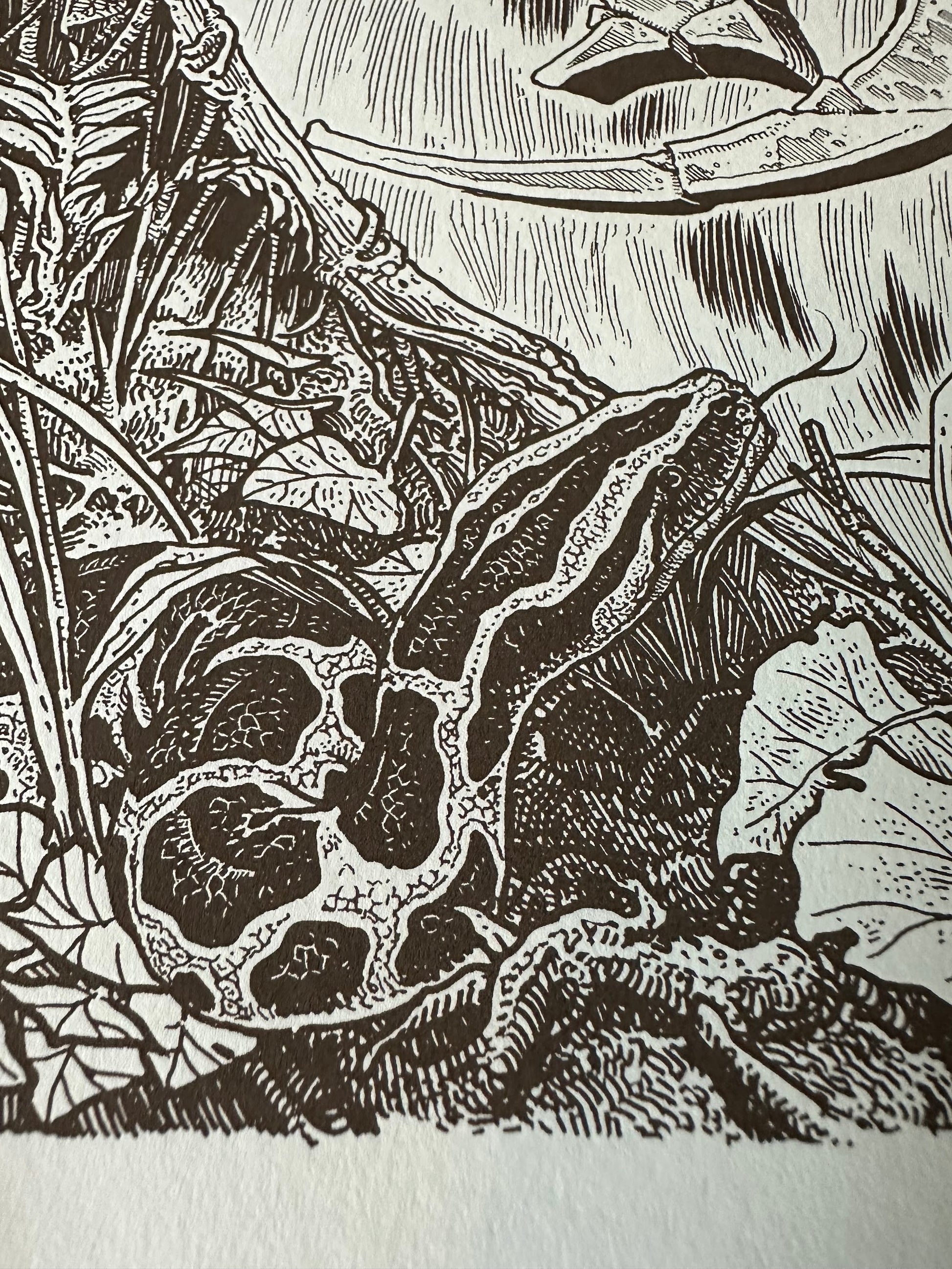 Brandon Holt - The Jungle Book 24x30 movie poster - detail image 7