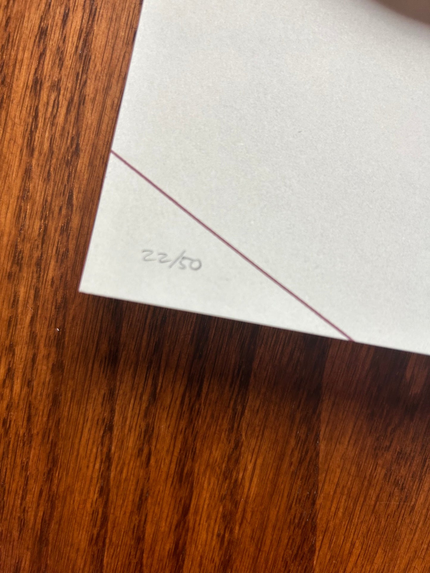 Craig Drake - Spirited Away 24x36 movie poster - detail image 5