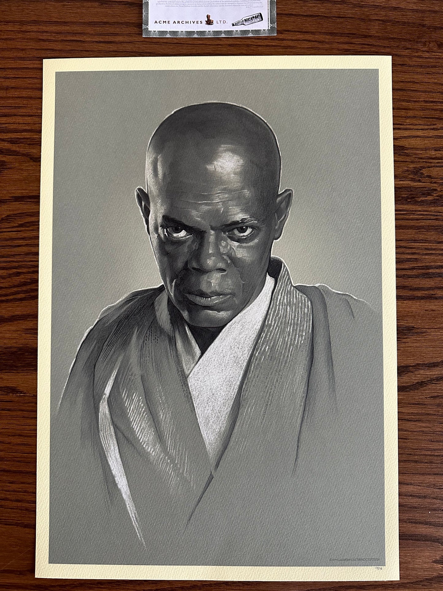 Gabz - Mace Windu Variant 13x19 art print