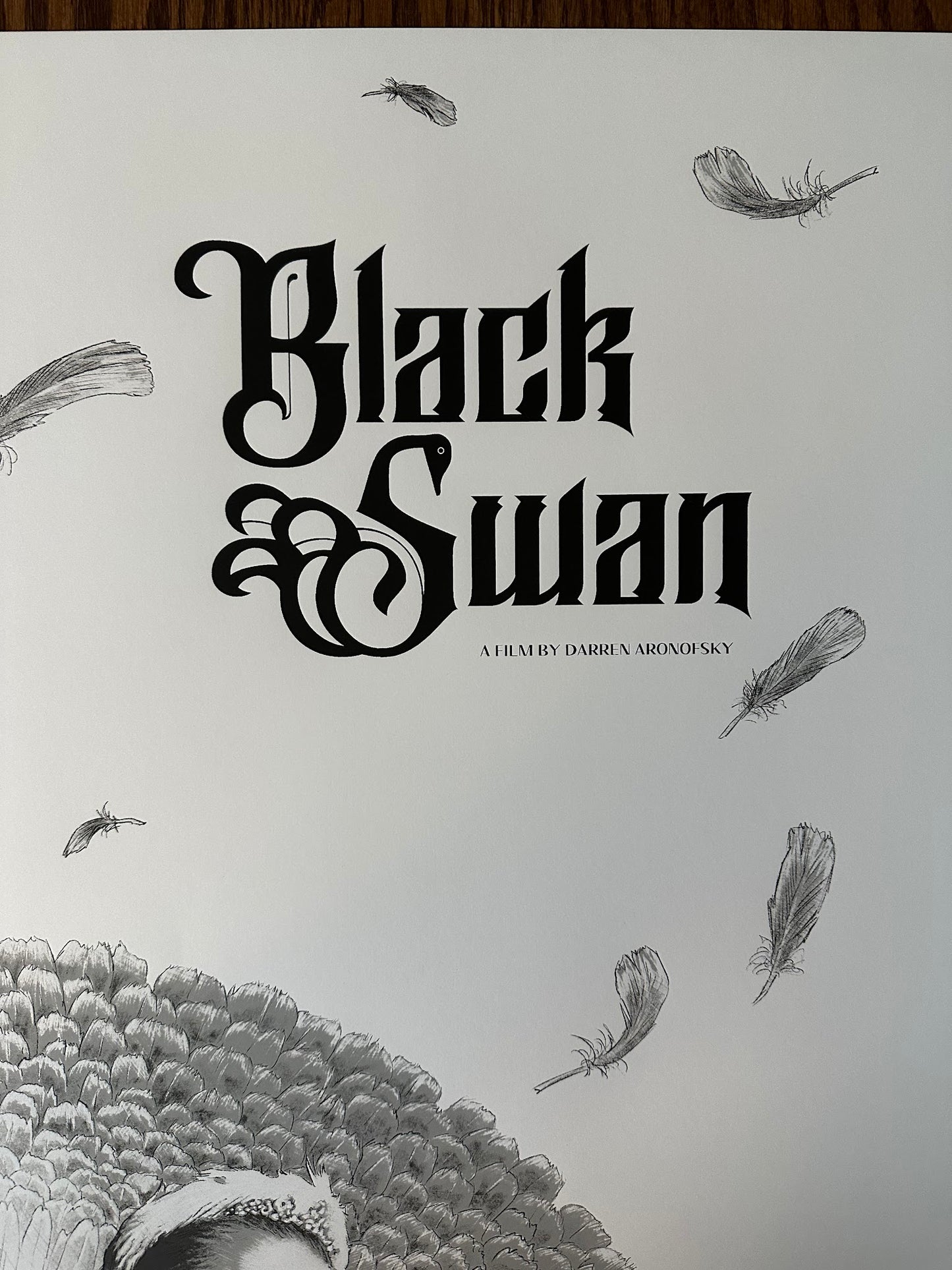 Neil Davies - Black Swan - 24x36 - Limited Edition Poster