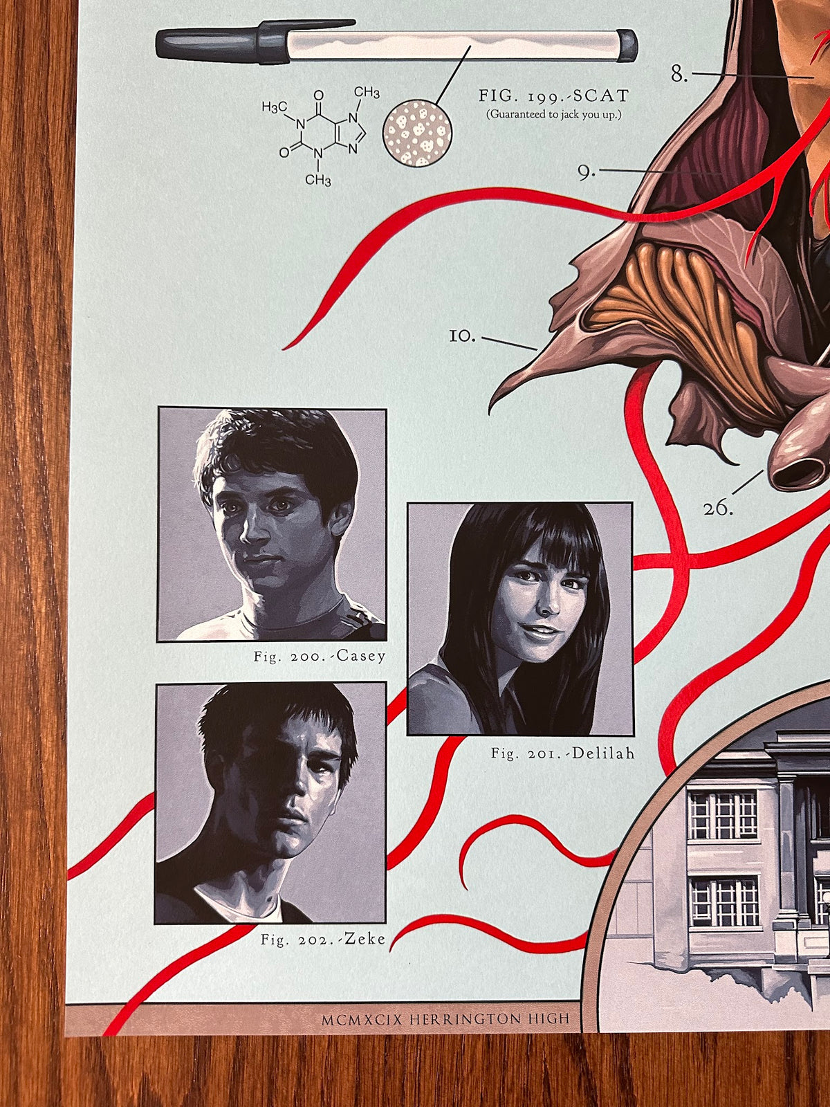 David Seidman - The Faculty - 24x36 - Limited Edition Poster