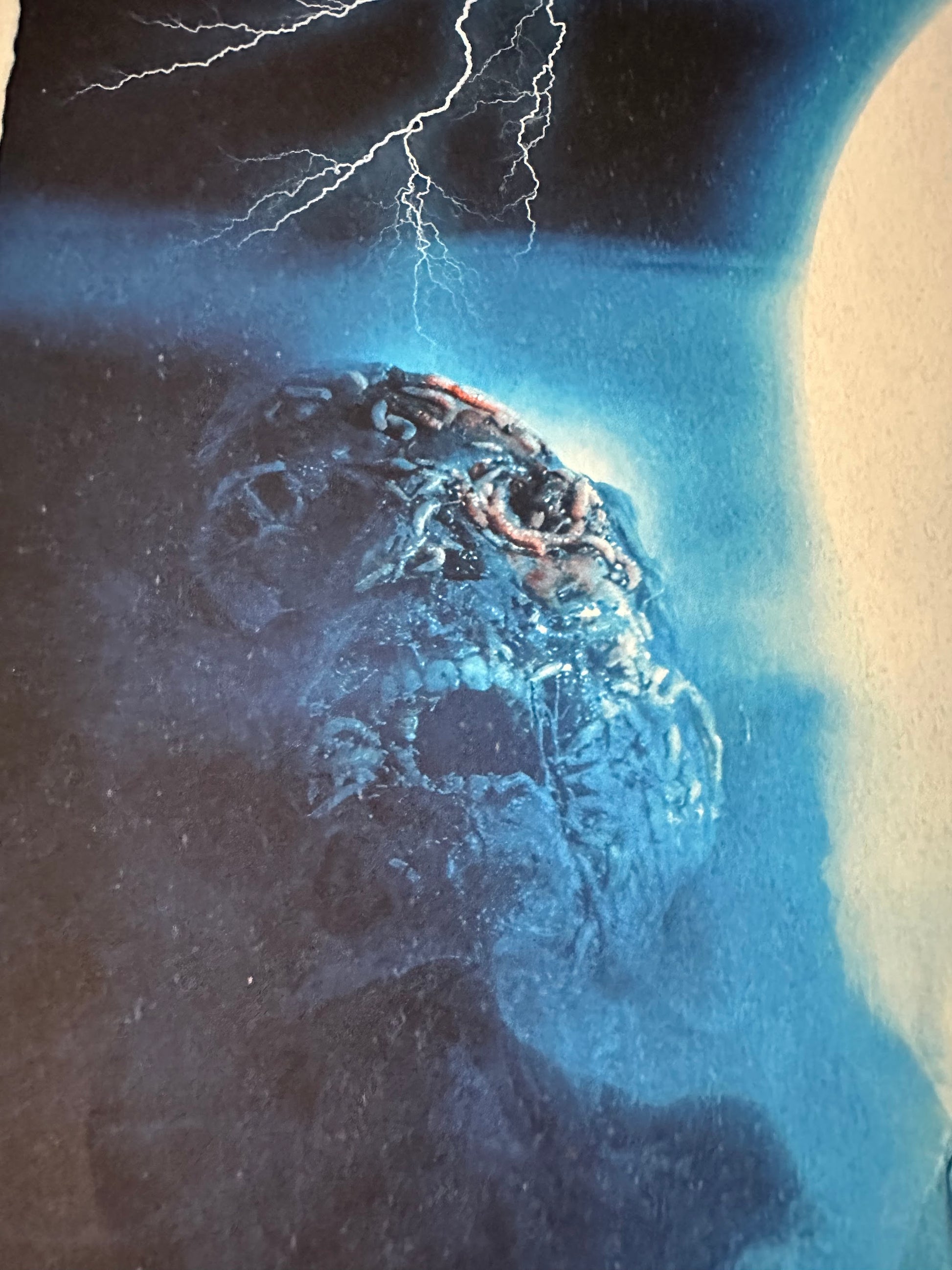 Creepy Duck Design - Phenomena 24x36 movie poster - detail image 5