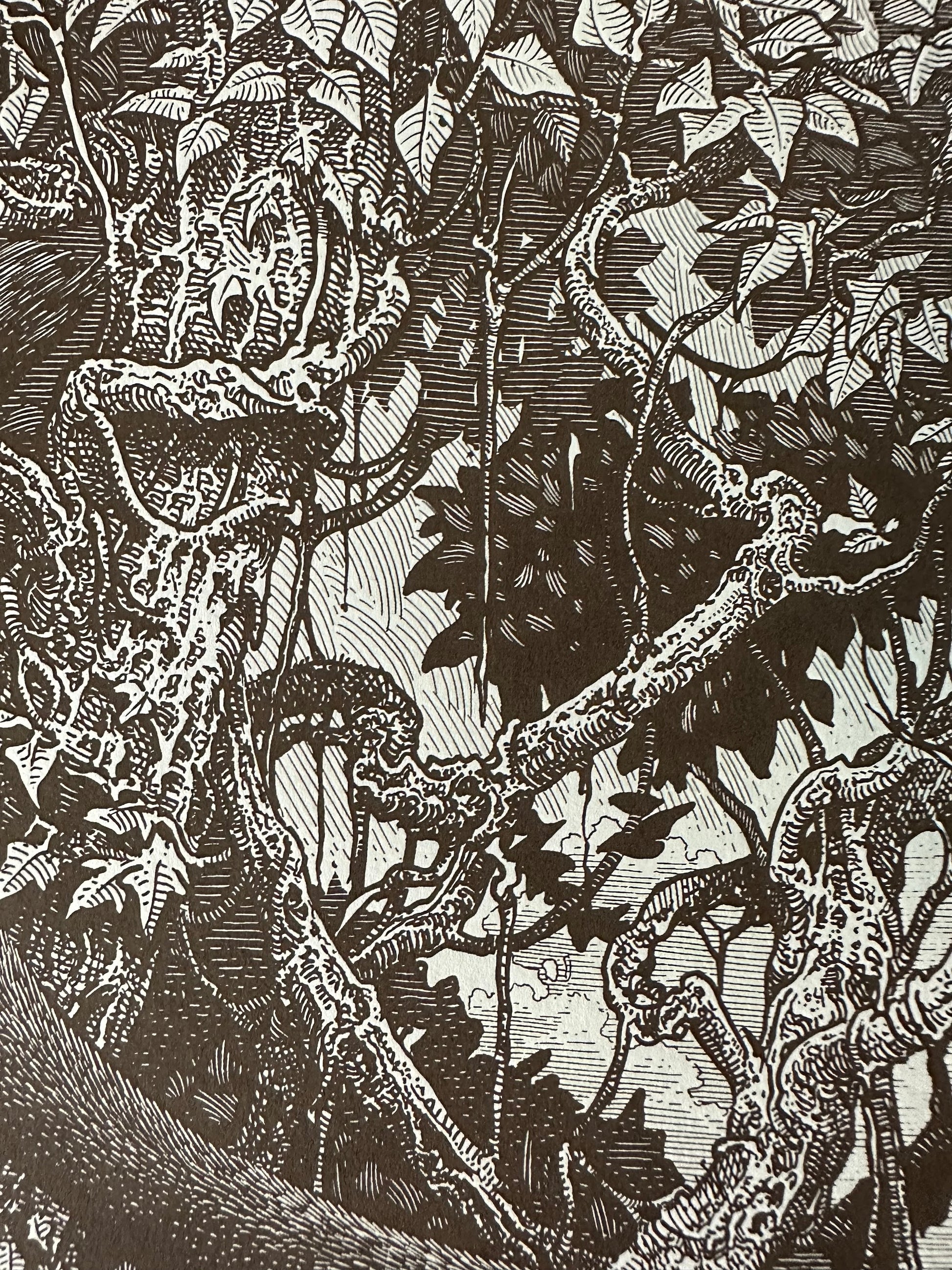 Brandon Holt - The Jungle Book 24x30 movie poster - detail image 4