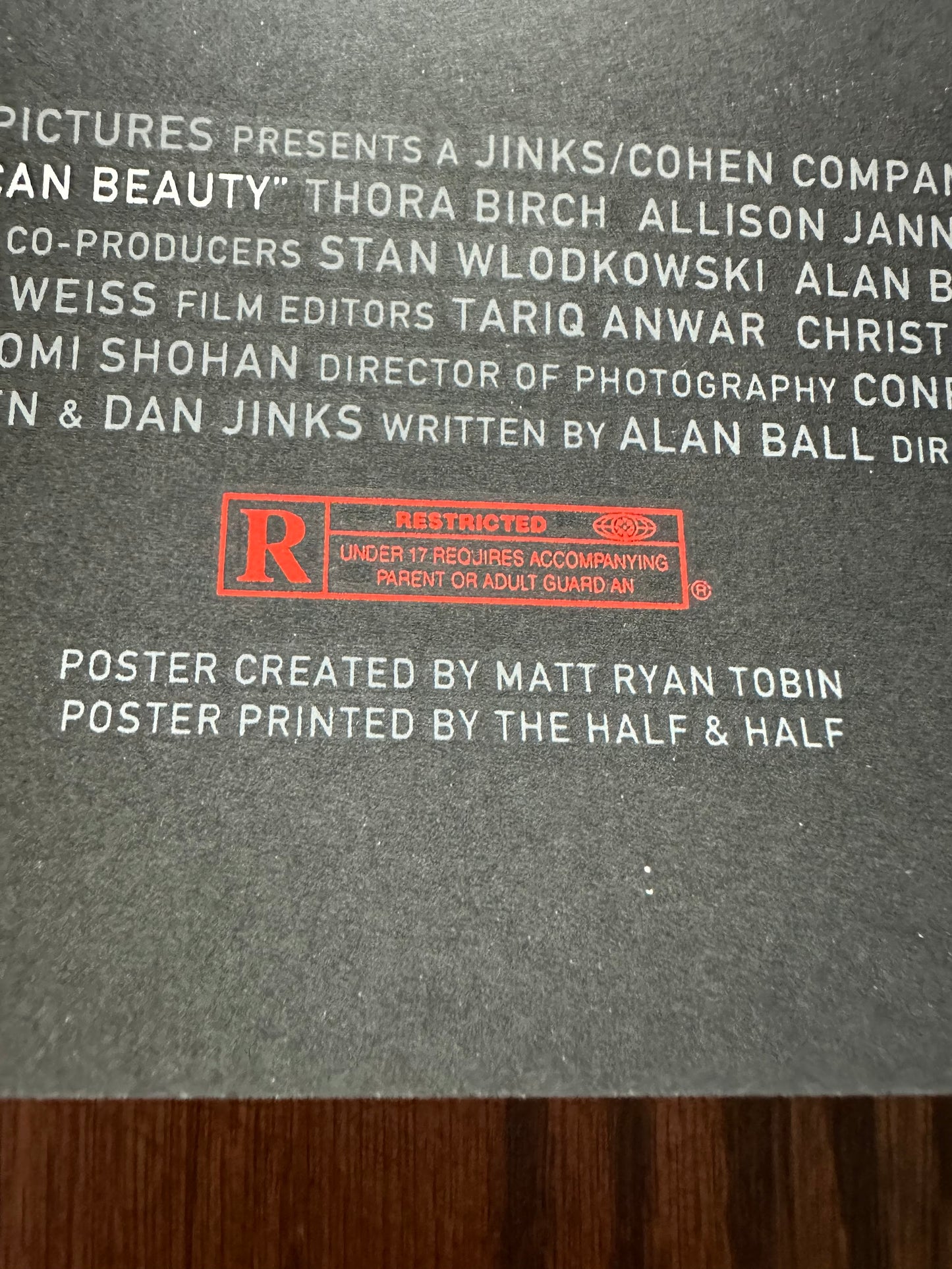 Matt Ryan Tobin - American Beauty 24x36 movie poster - detail image 8