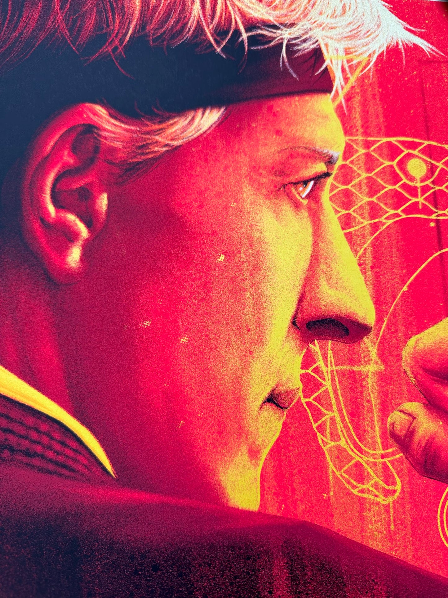 Matt Ryan Tobin - Cobra Kai 24x36 movie poster - detail image 4