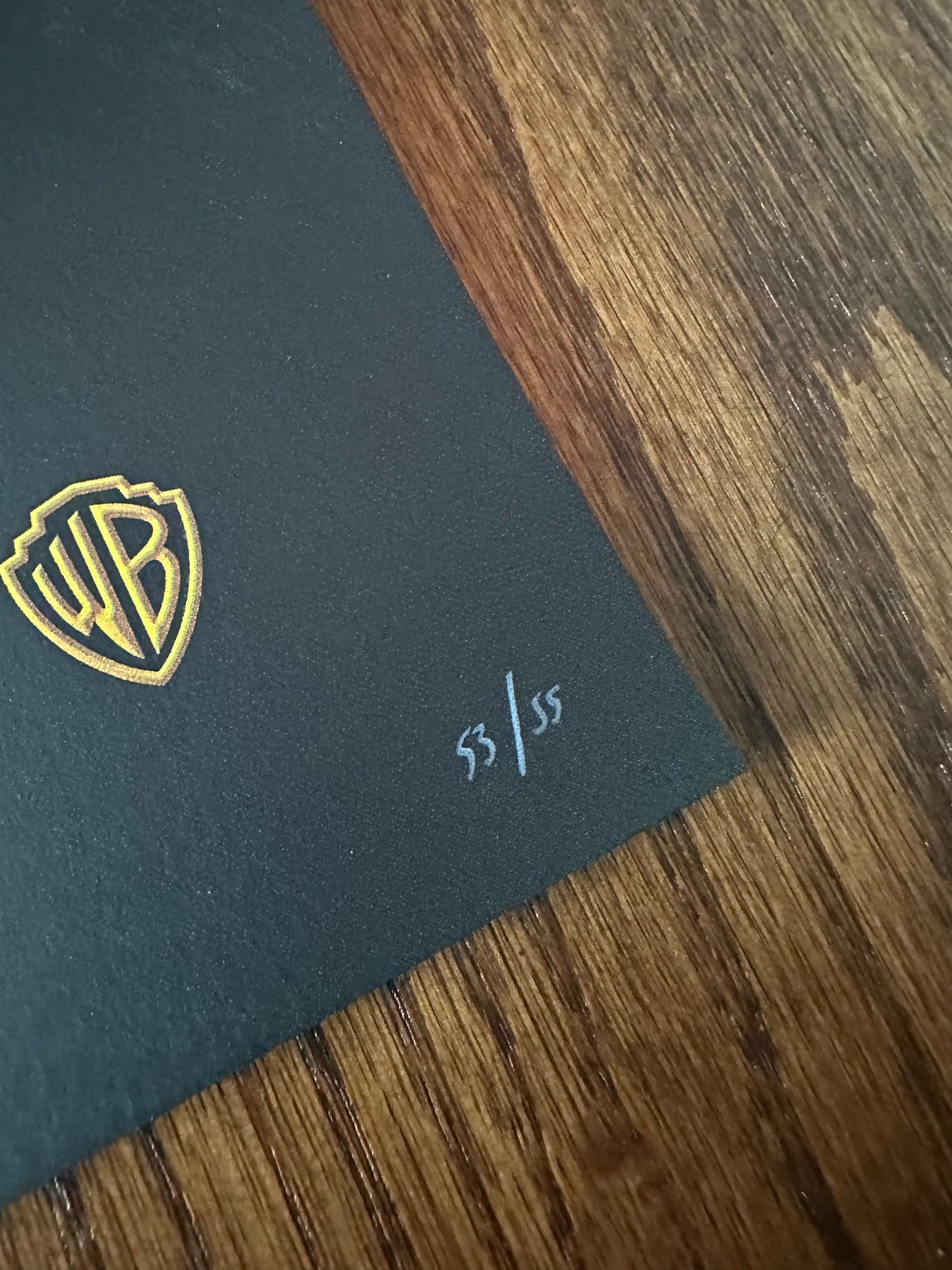 Banhan - Harry Potter & the Sorcerer's Stone 24x36 movie poster - detail image 9