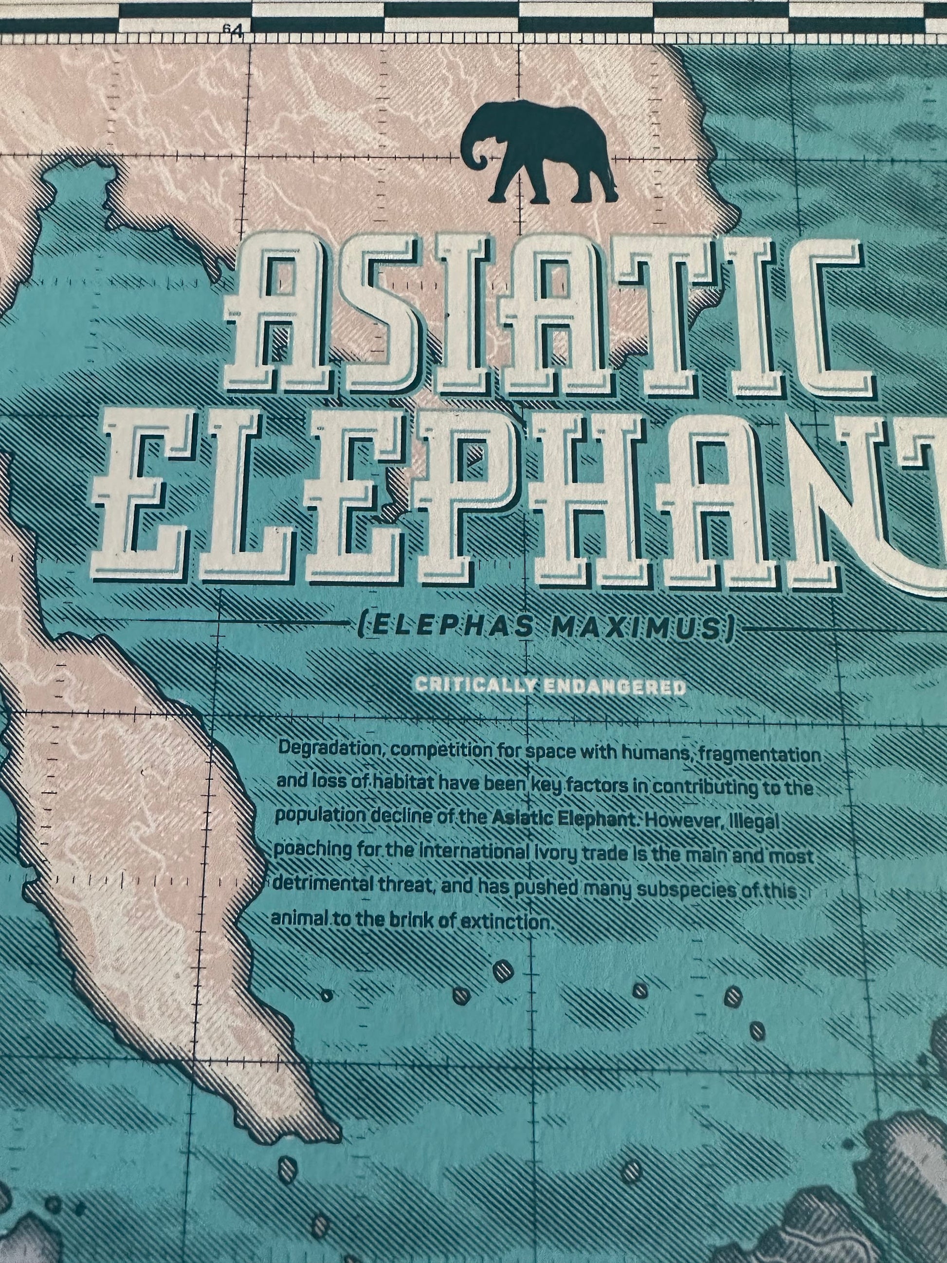 Anthony Petrie - Asiatic Elephant 18x24 movie poster - detail image 4