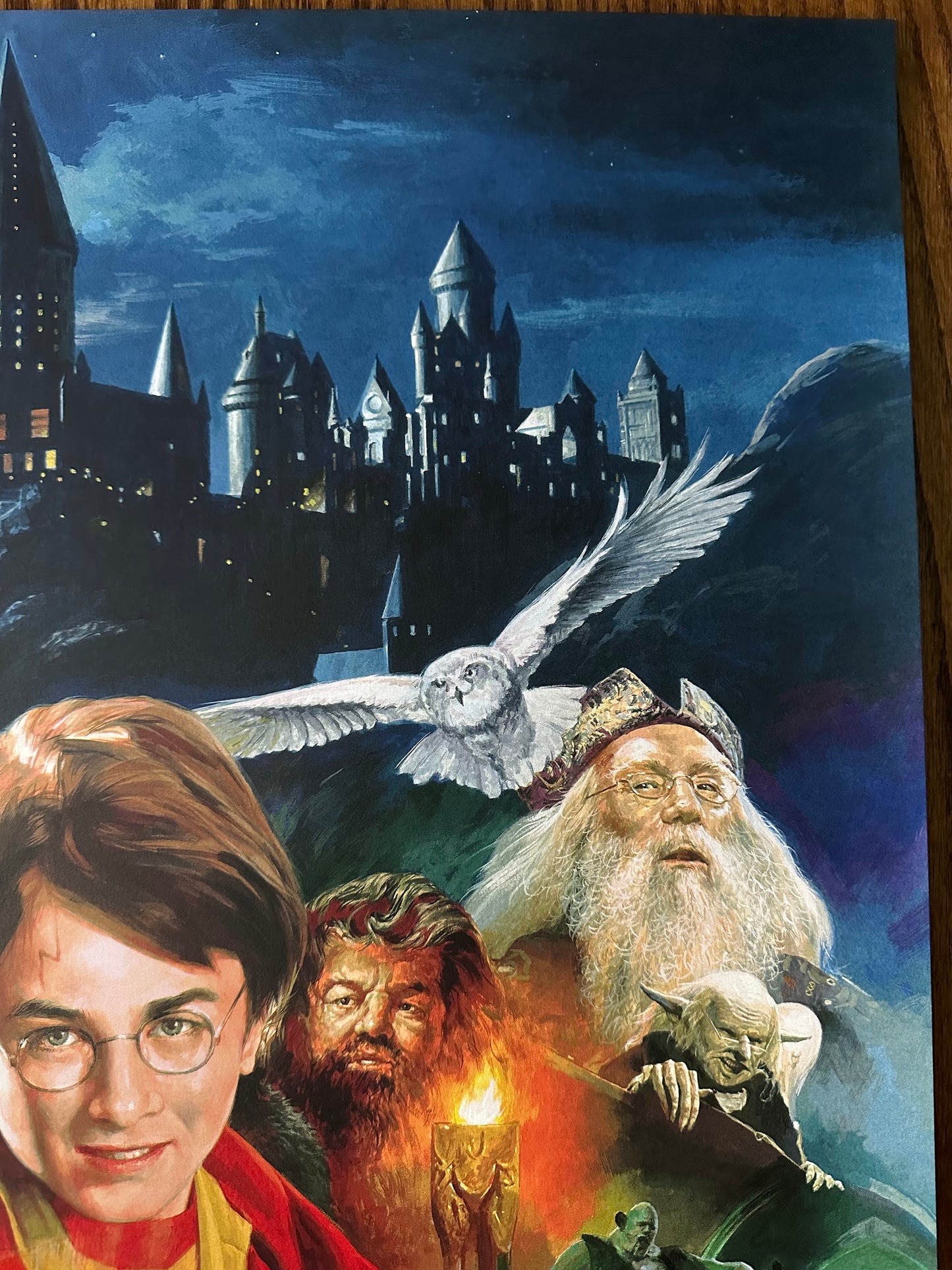 Banhan - Harry Potter & the Sorcerer's Stone 24x36 movie poster - detail image 2