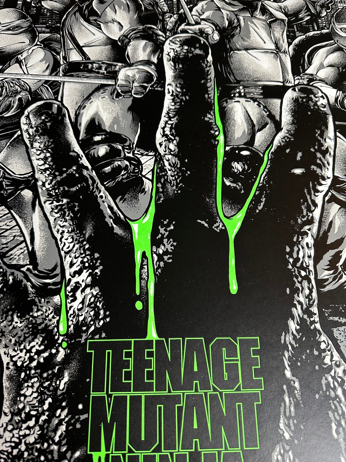 Anthony Petrie - Teenage Mutant Ninja Turtles 2 Variant 24x36 movie poster - detail image 5