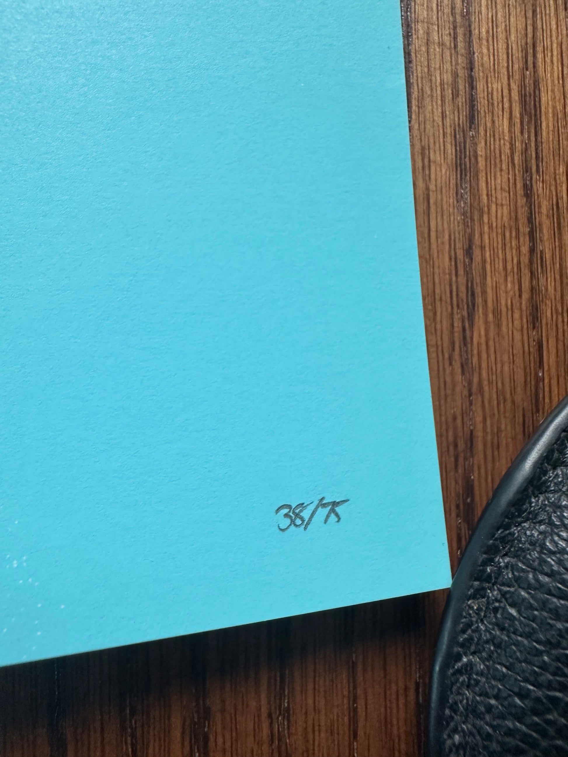 Lyndon Willoughby - Portal 18x24 movie poster - detail image 5