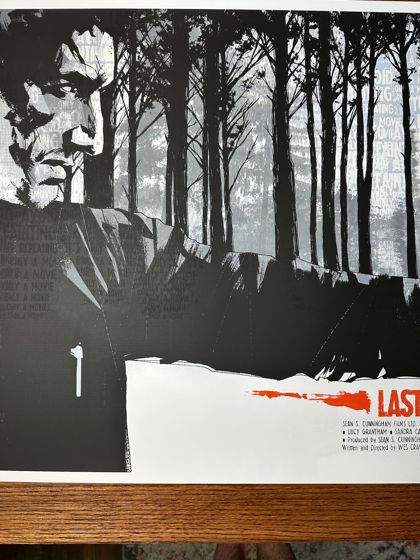 Jock - The Last House on the Left 36x24 movie poster - detail image 3