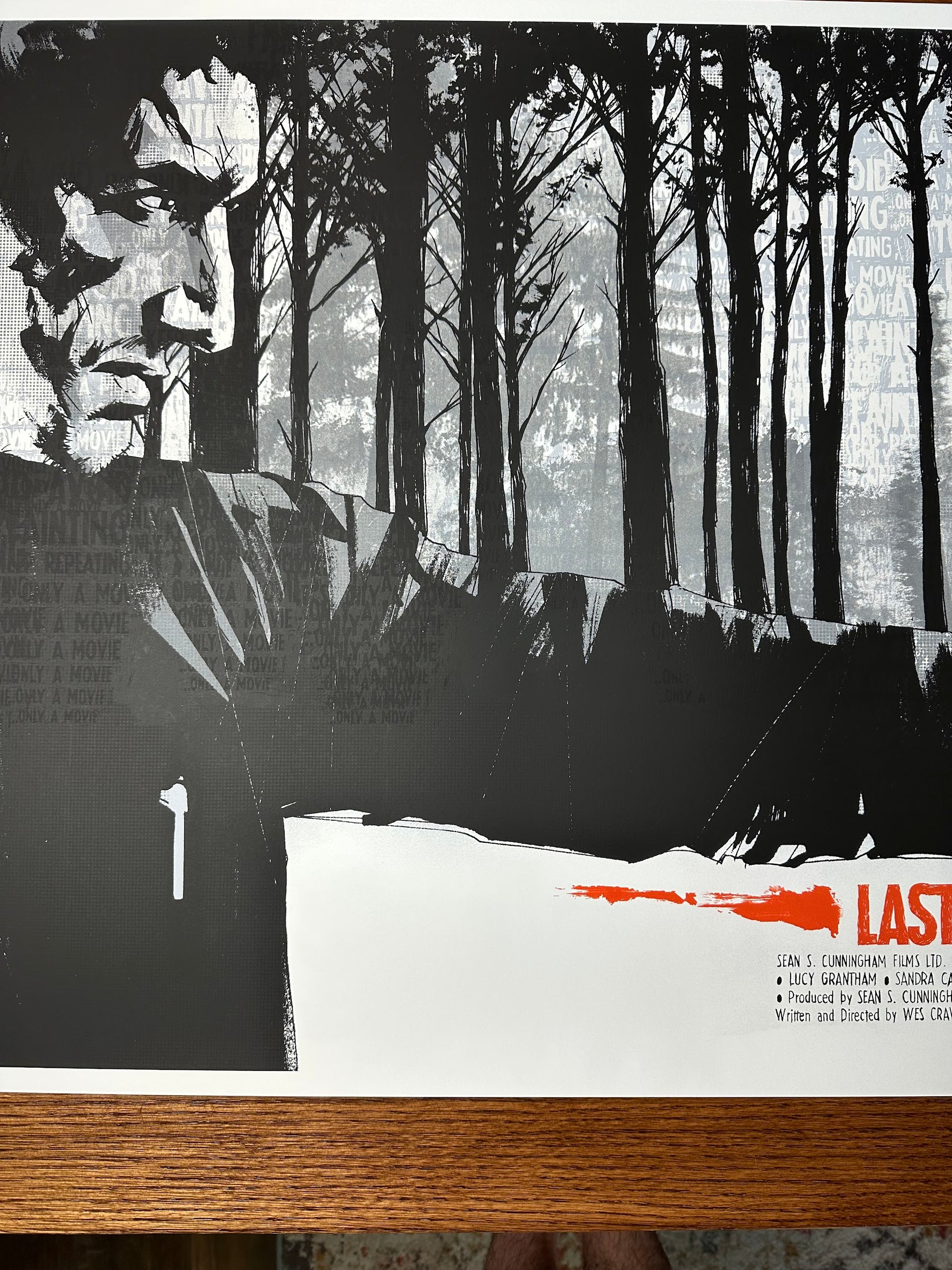 Jock - The Last House on the Left 36x24 movie poster - detail image 3