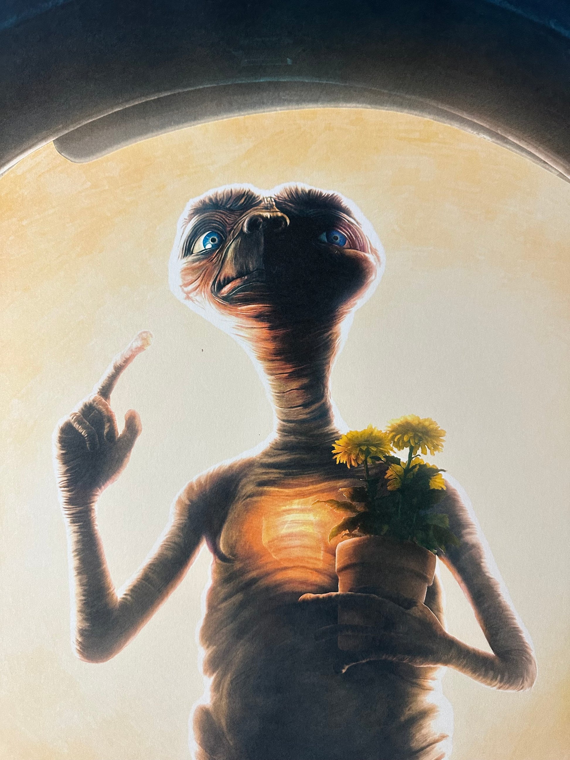 Kevin Wilson - ET 24x36 movie poster - detail image 2