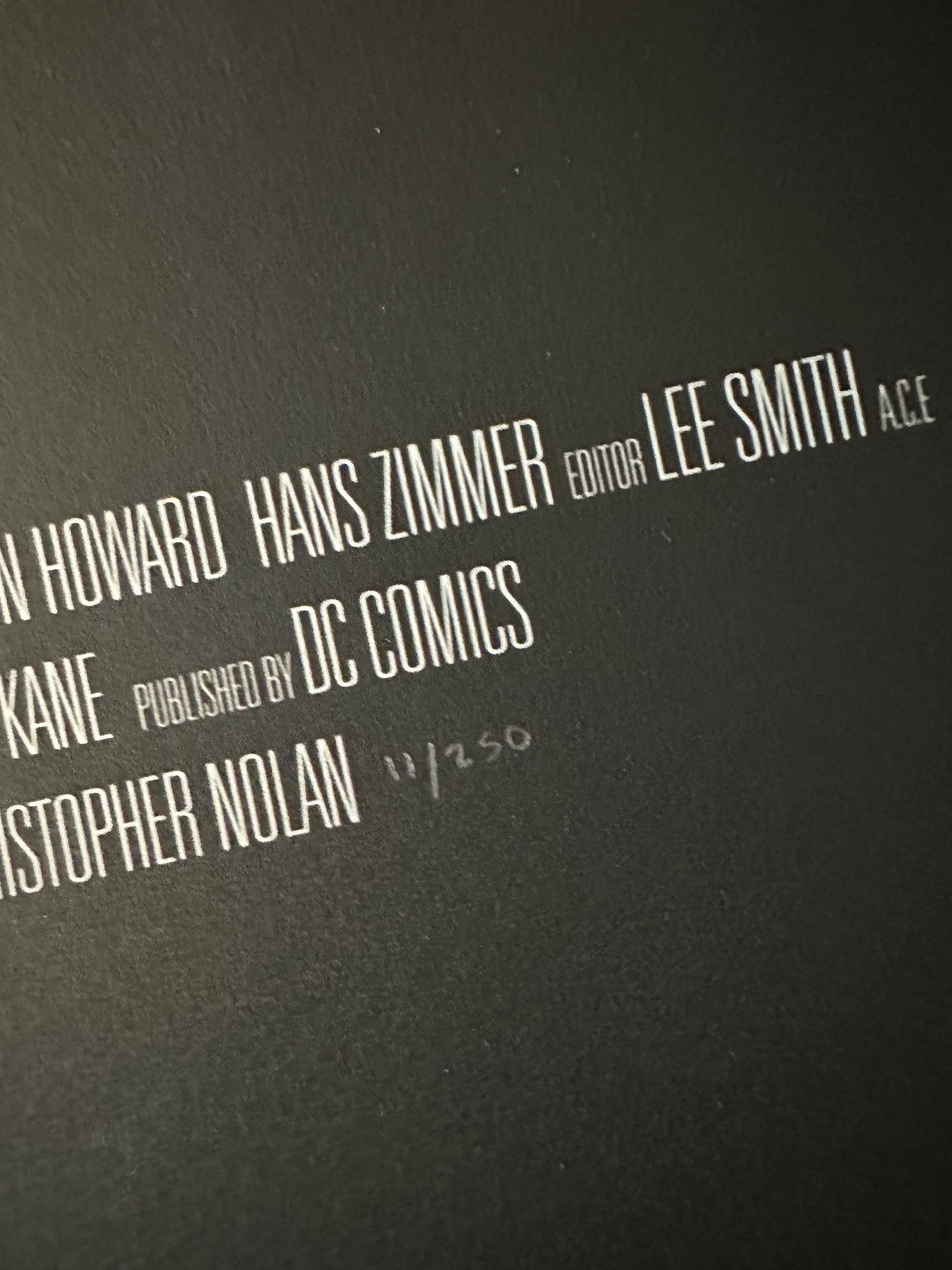 Rich Davies - Batman Begins 24x36 movie poster - detail image 6