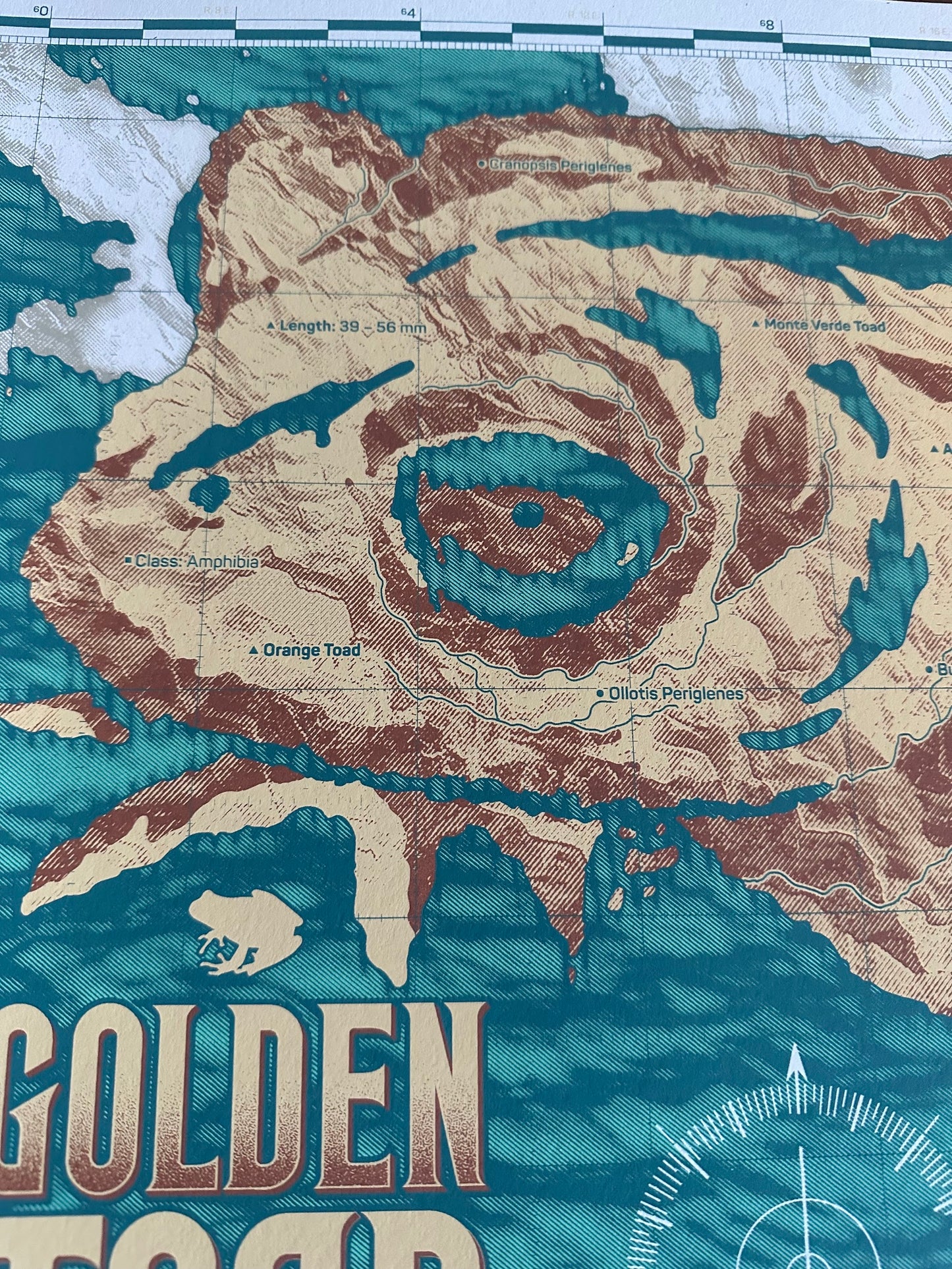 Anthony Petrie - Golden Toad Map 18x24 movie poster - detail image 5