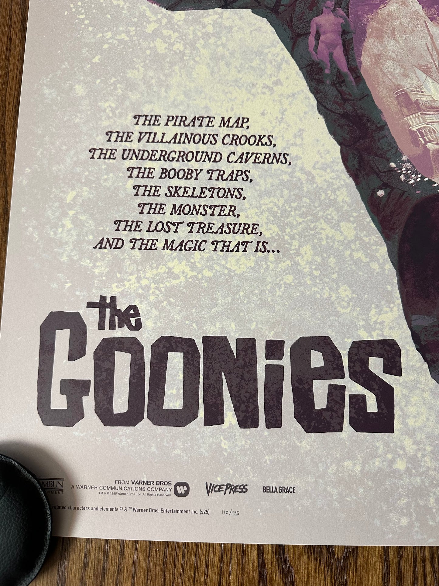 Bella Grace - The Goonies 24x36 movie poster - detail image 8