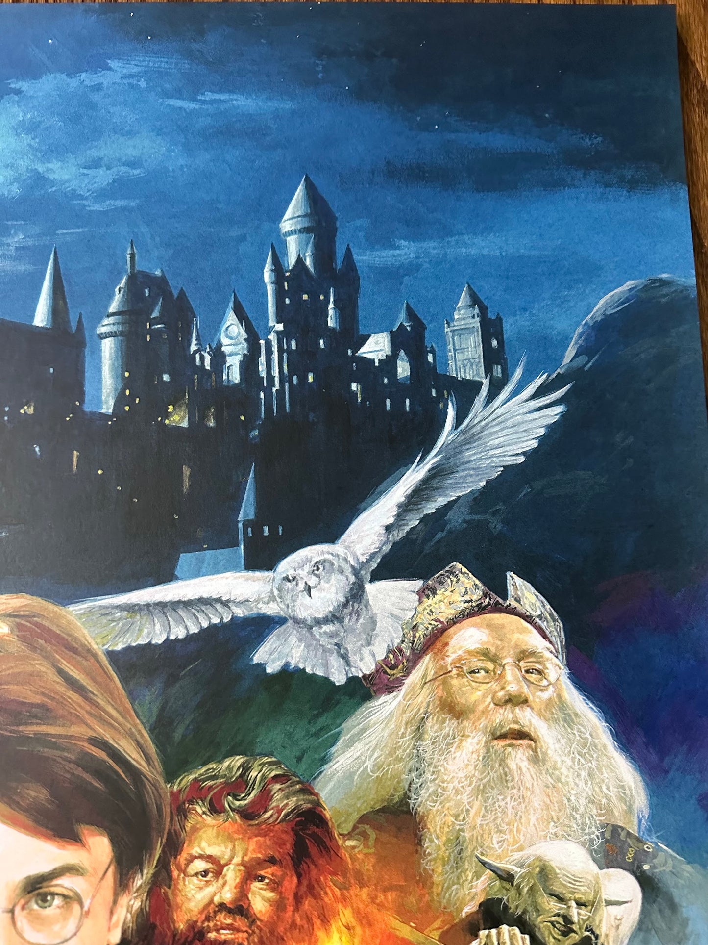 Banhan - Harry Potter and the Philosopher's Stone 24x36 movie poster - detail image 4