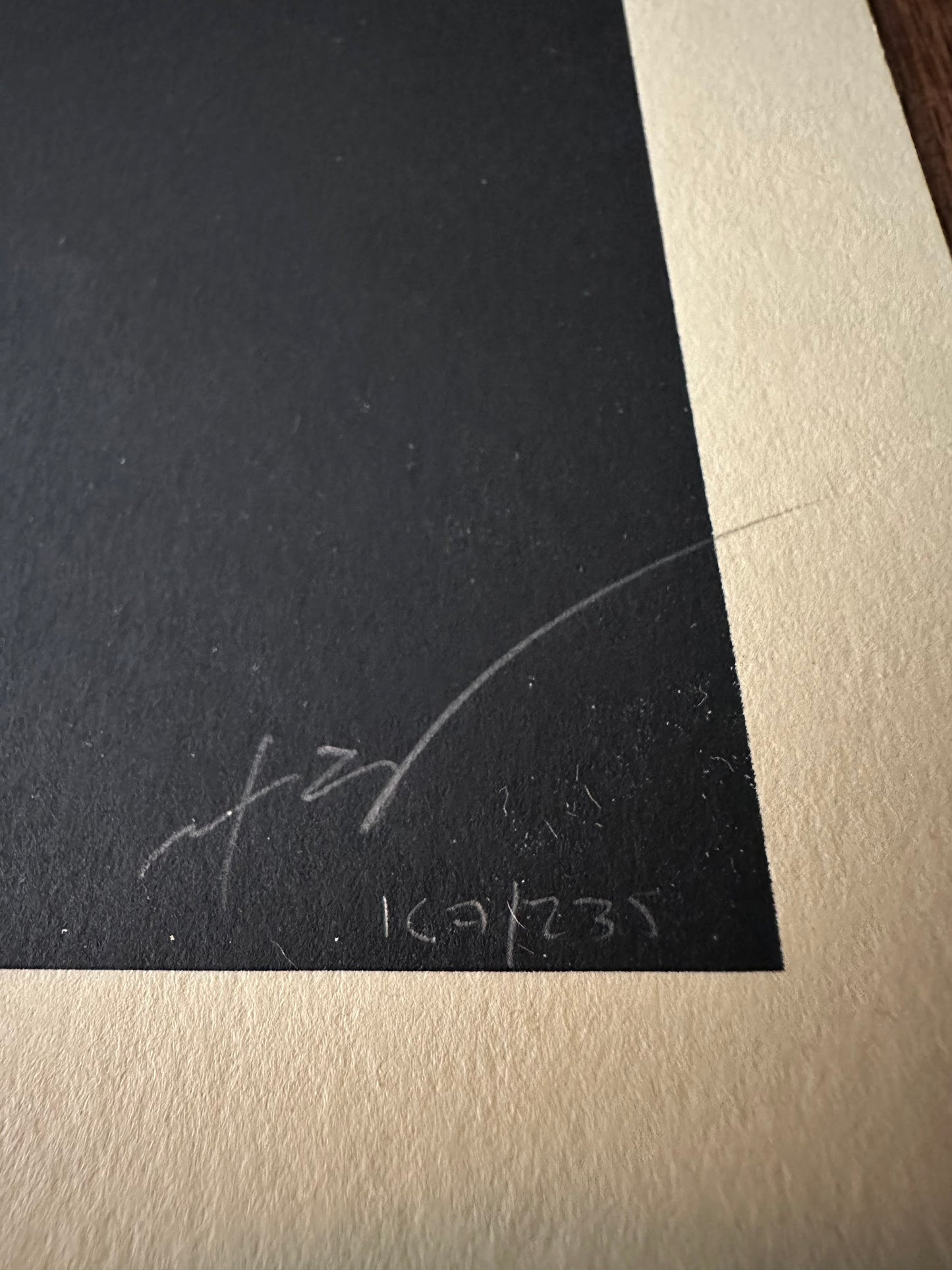 Martin Ansin - Alien 24x36 movie poster - detail image 7