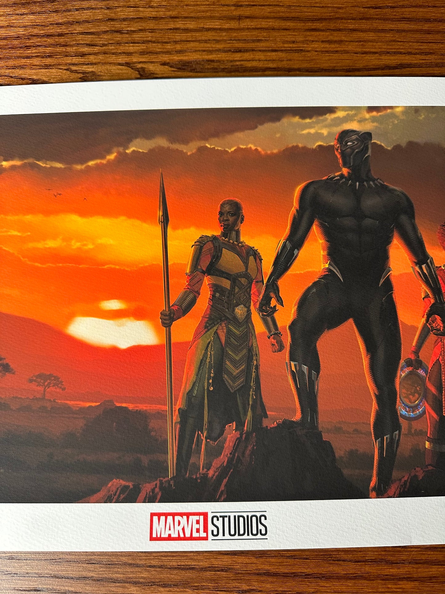 Ryan Meinerding - Marvel Black Panther Wakanda King 24x11.5 movie poster - detail image 3