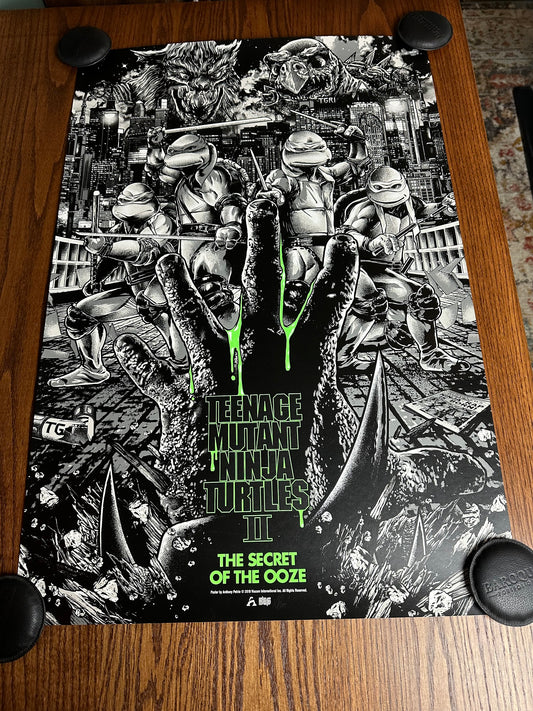 Anthony Petrie - Teenage Mutant Ninja Turtles 2 Variant 24x36 movie poster