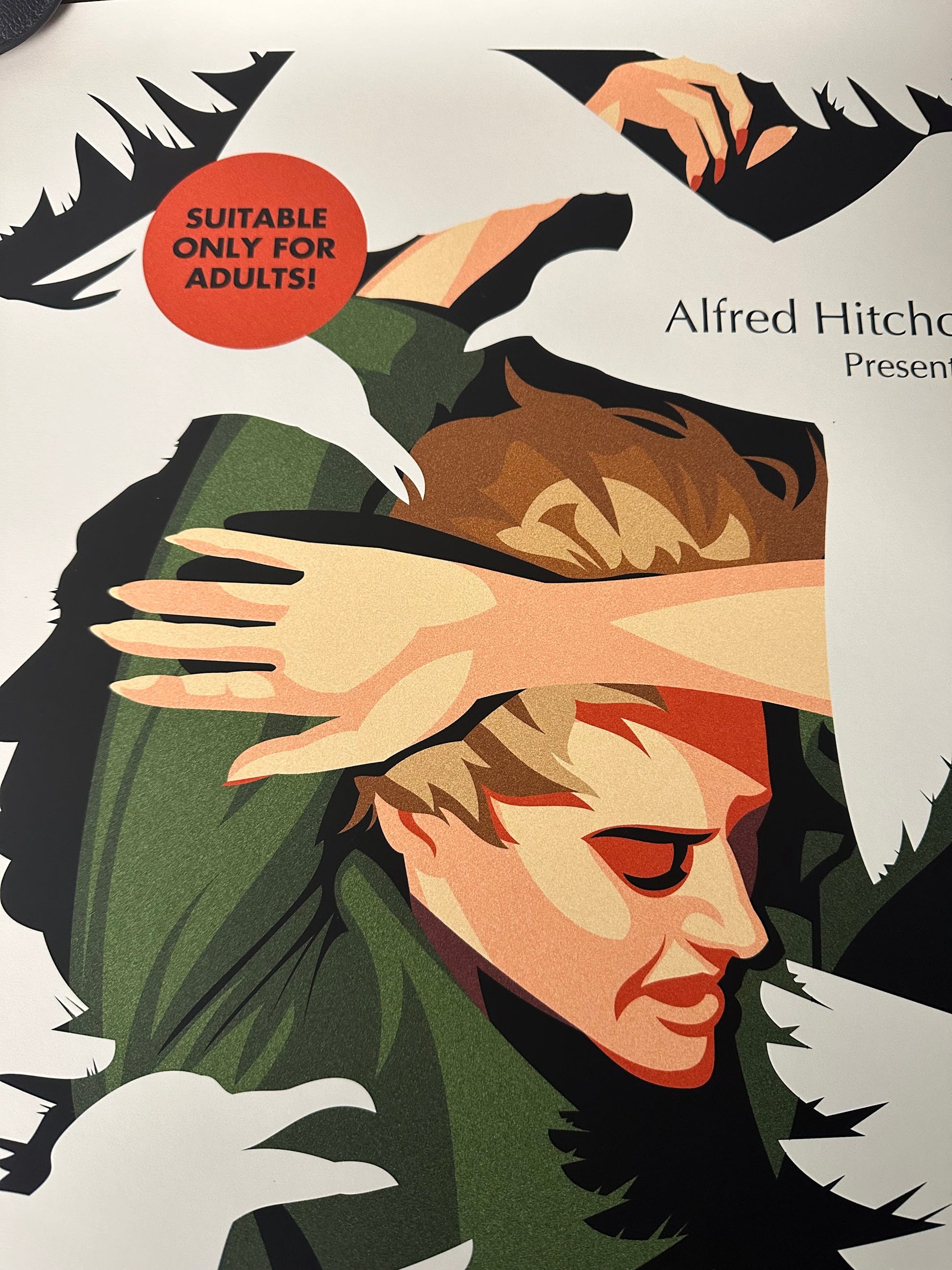 Danny Haas - The Birds 18x24 movie poster - detail image 3