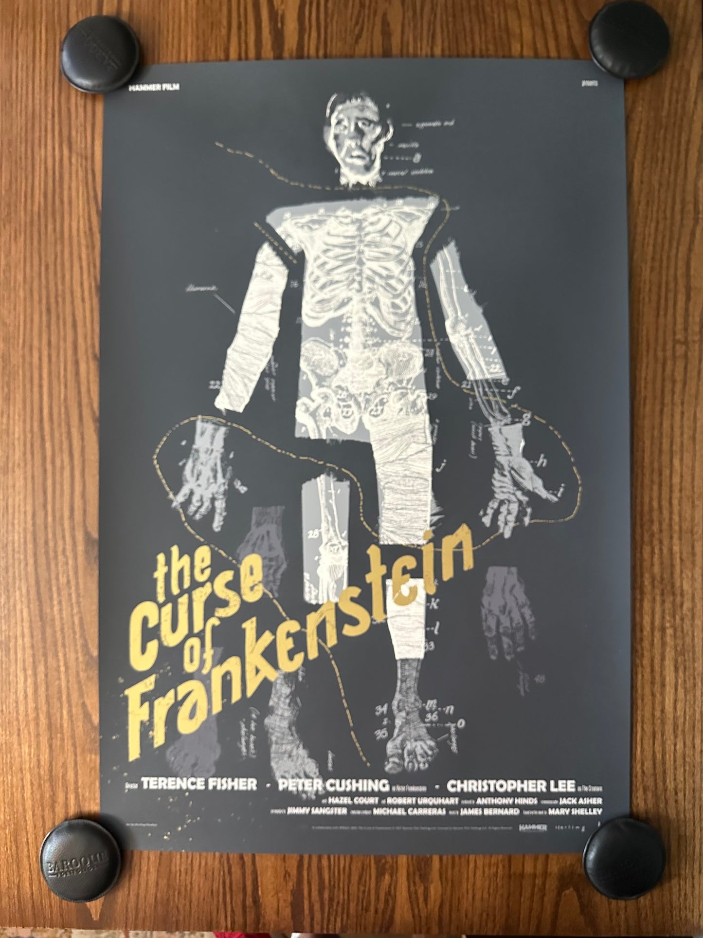 Sterling Hundley - The Curse of Frankenstein Variant 24x36 movie poster