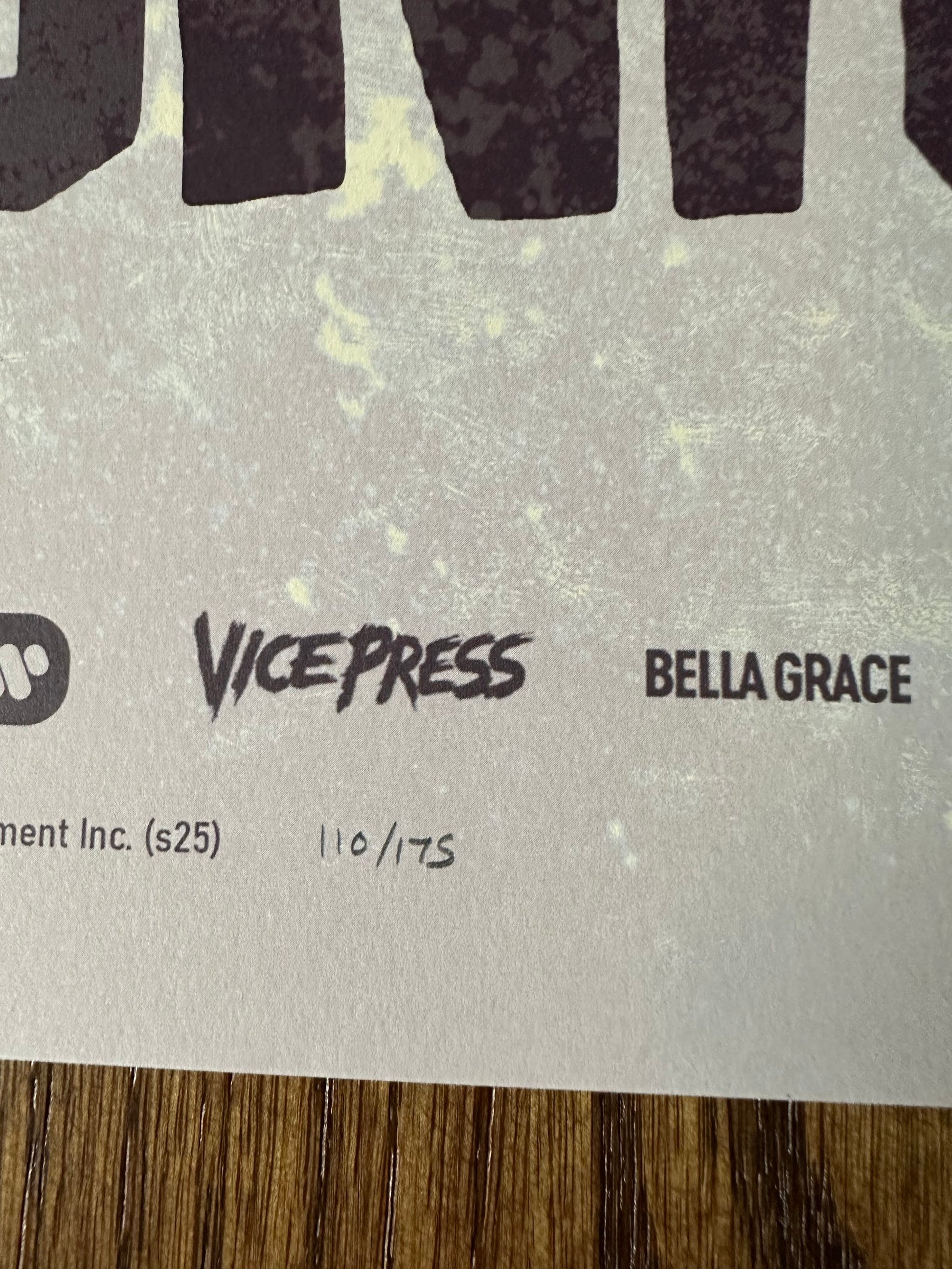 Bella Grace - The Goonies 24x36 movie poster - detail image 9