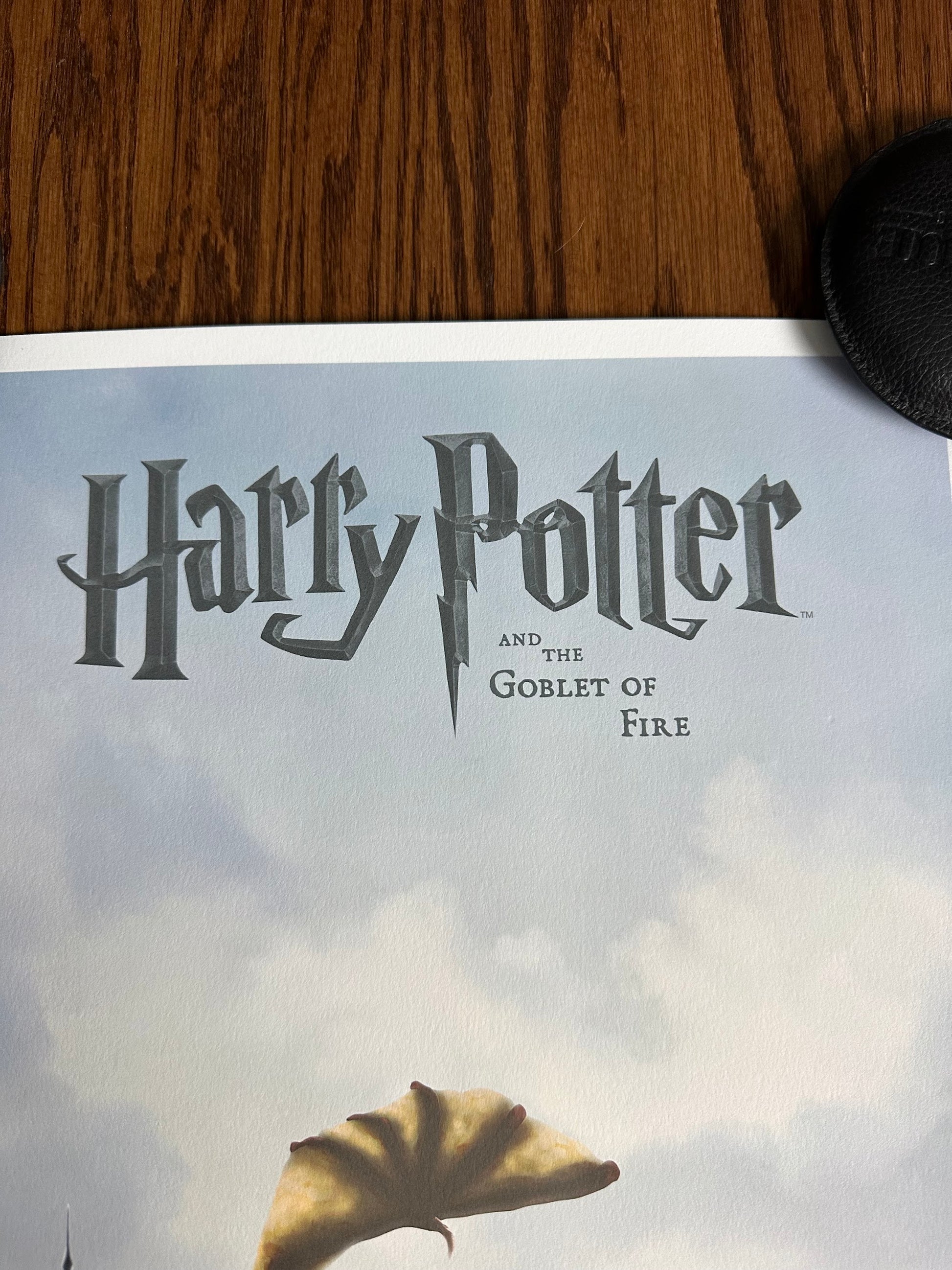 Ben Harman - Harry Potter and the Goblet of Fire 12x36 movie poster - detail image 2